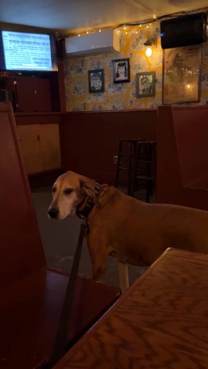 Showtime Lounge - Dive Bars Near Me - Washington, DC, District of Columbia