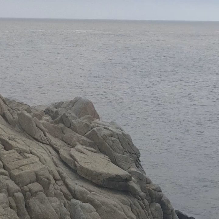 Esplanade Park - Best place in California - Parks Near Me - Pacific Grove, California