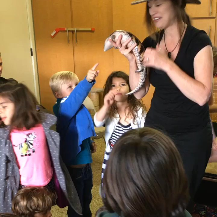 Lizard Lady Reptiles - Blue skink kiss - Performing Arts Near Me