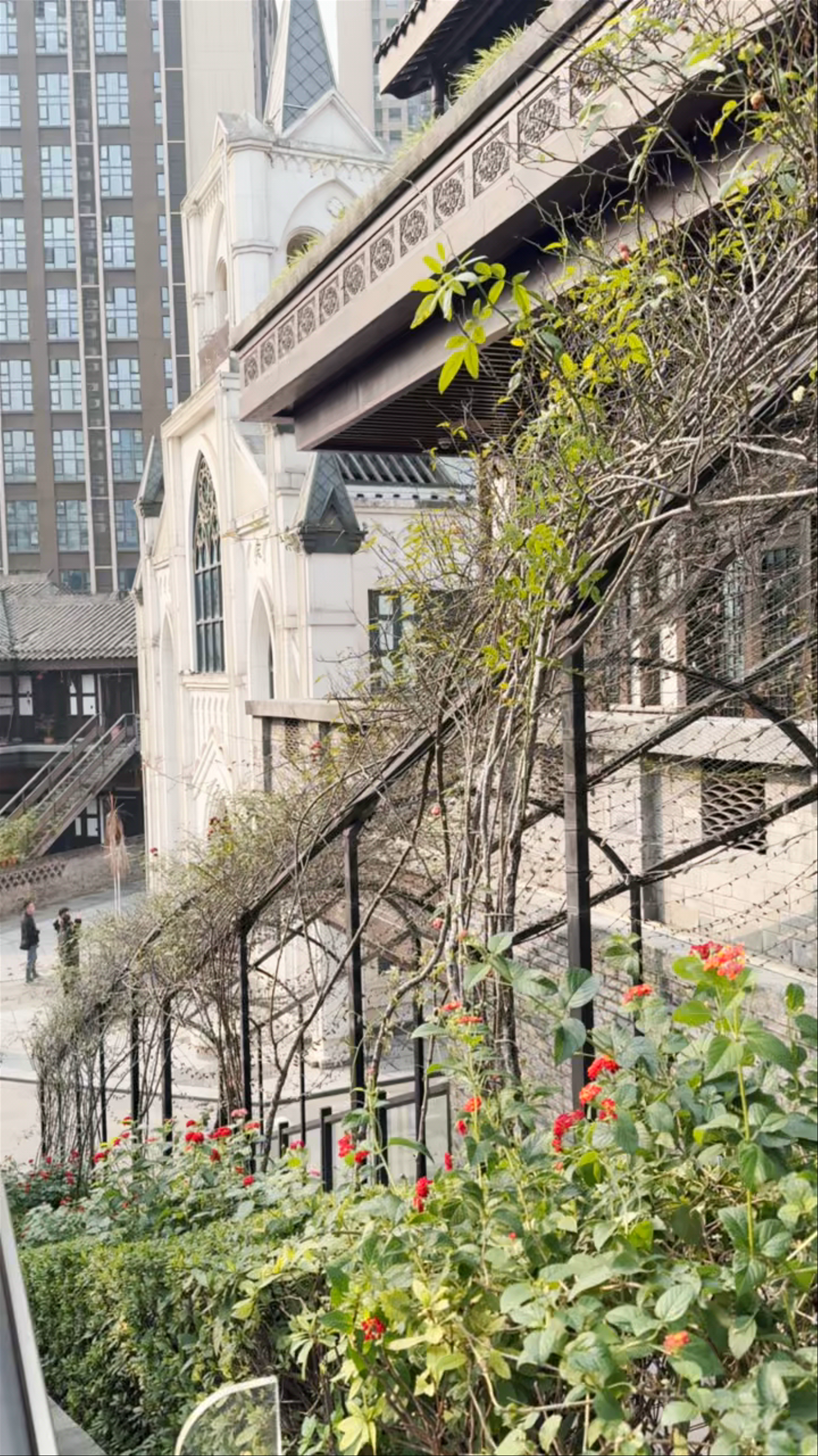 Yidetang in Chongqing: Tranquil Urban Charm and Historic Serenity