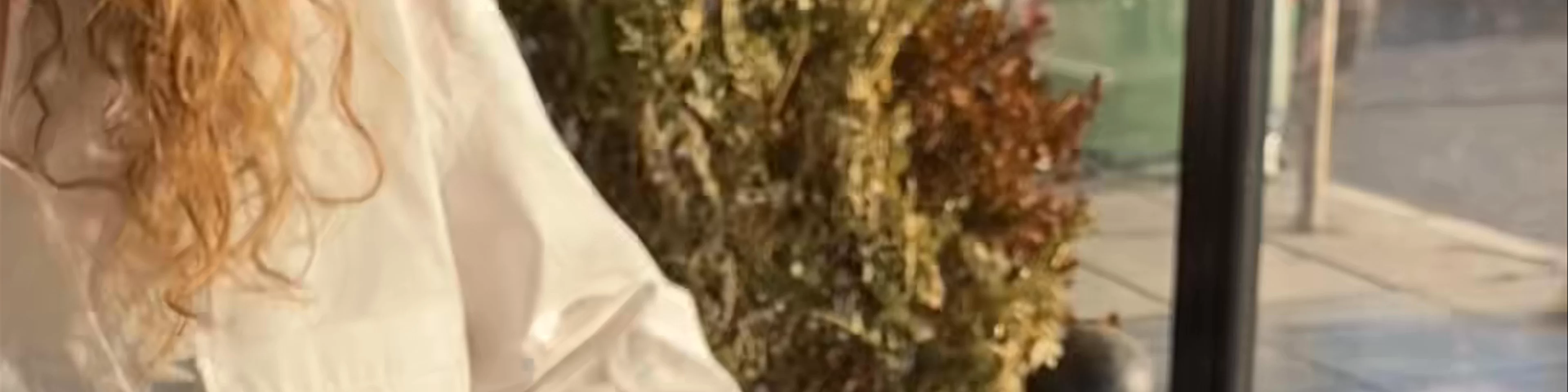 Garçon Brasserie