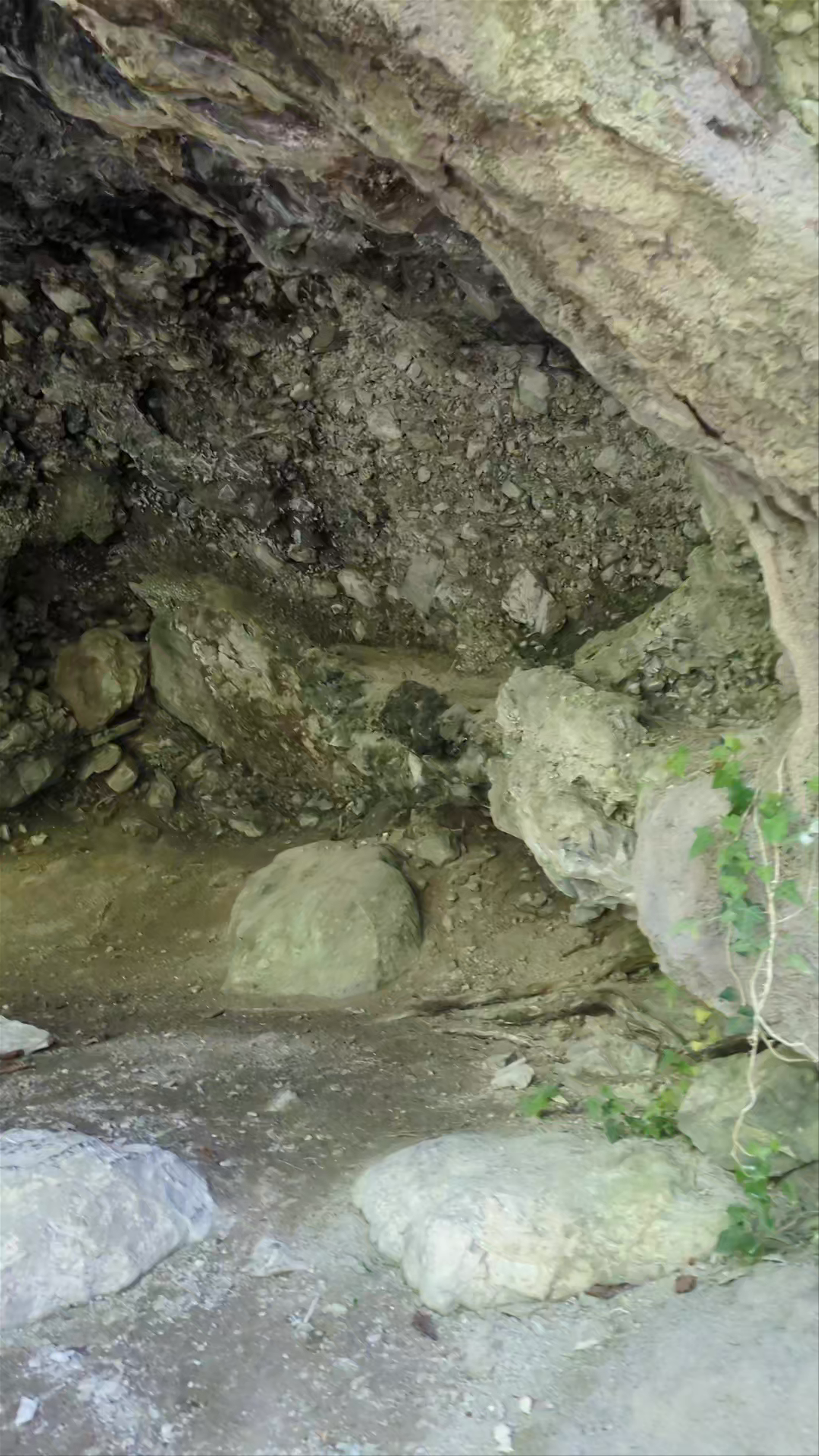 Cave of Saint Lazarus