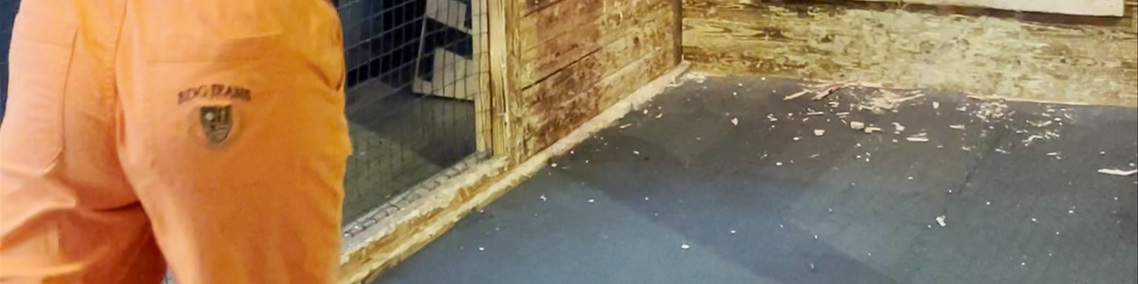 Bad Axe Throwing Wembley (Activities