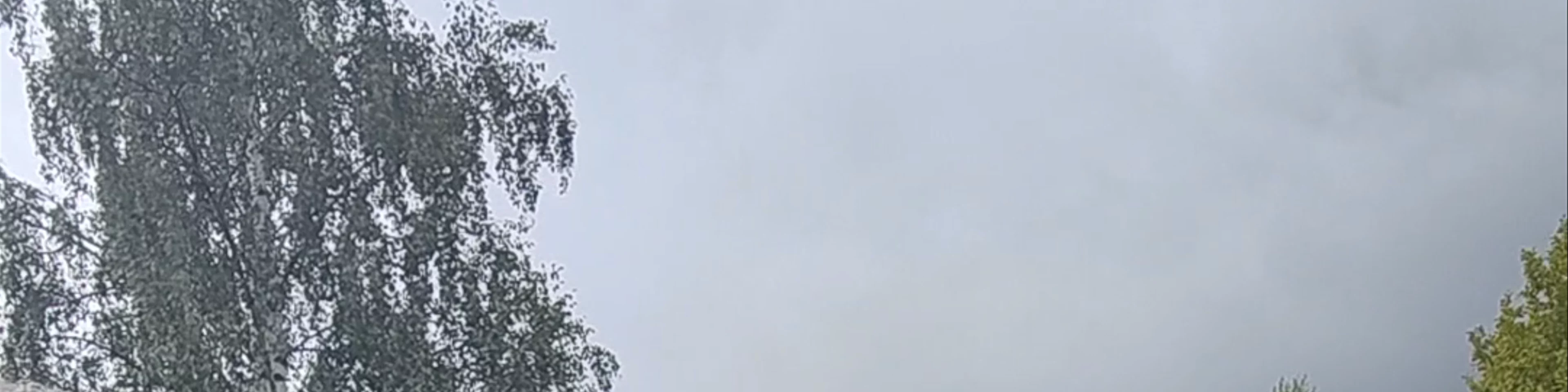 Tyrvefjøra