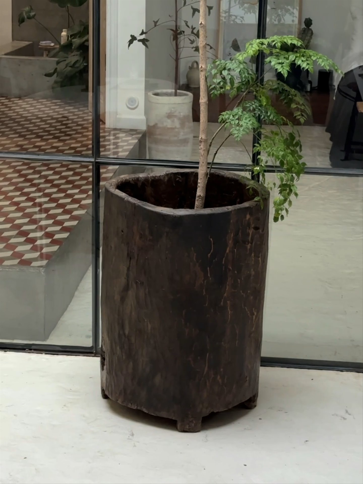 Naga Planter - 2
