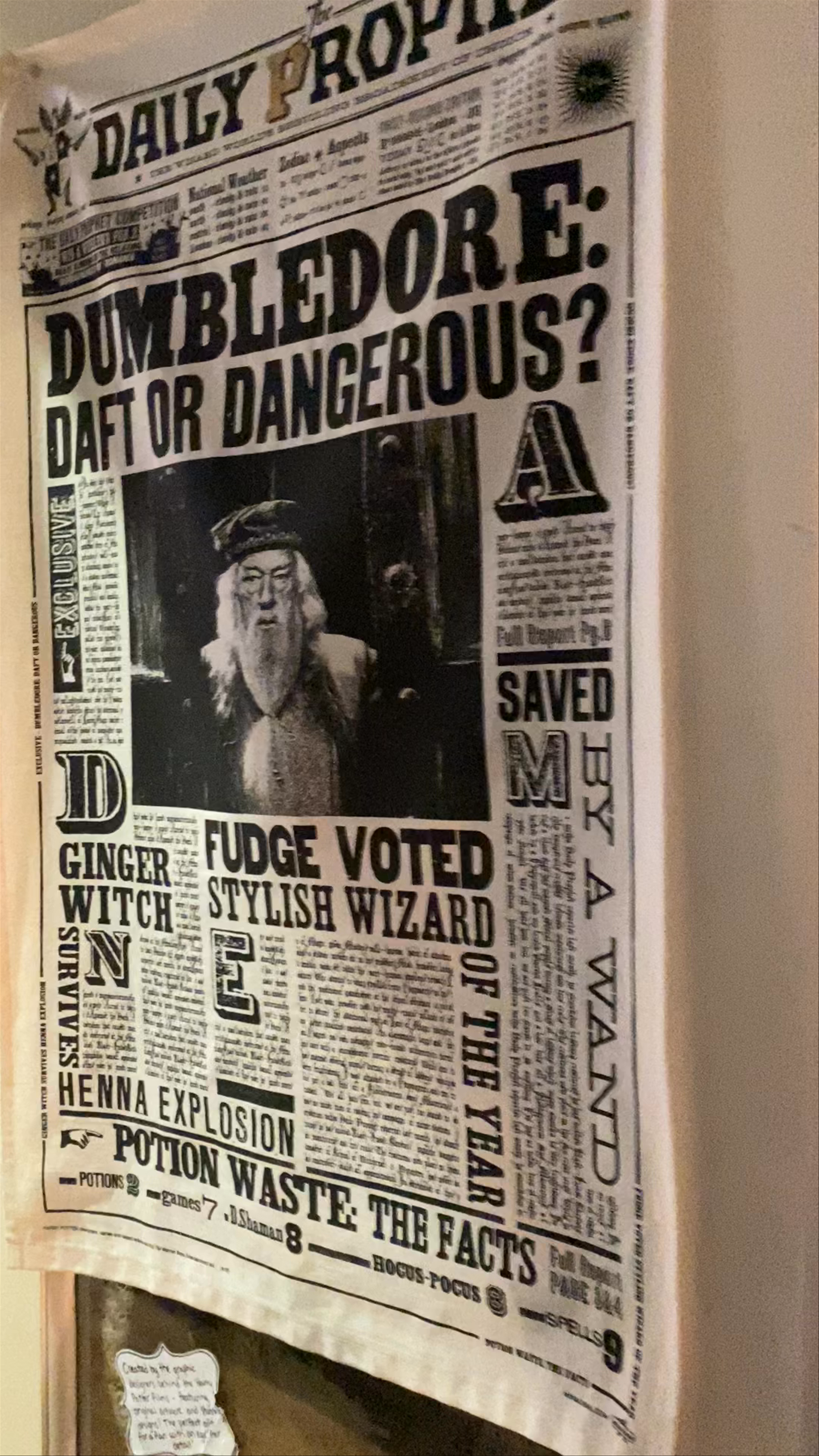Museum Context: Retailer of Harry Potter Merchandise