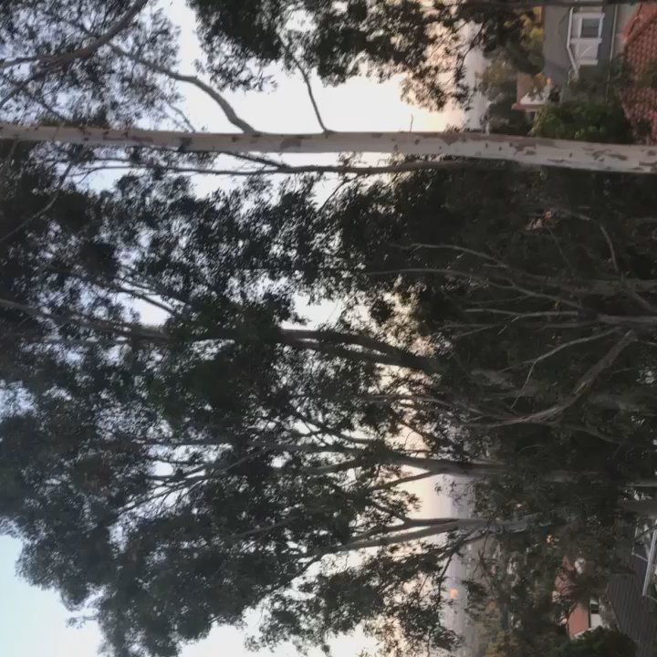 Robert E. Ward Nature Preserve - Parks Near Me - Fullerton, California