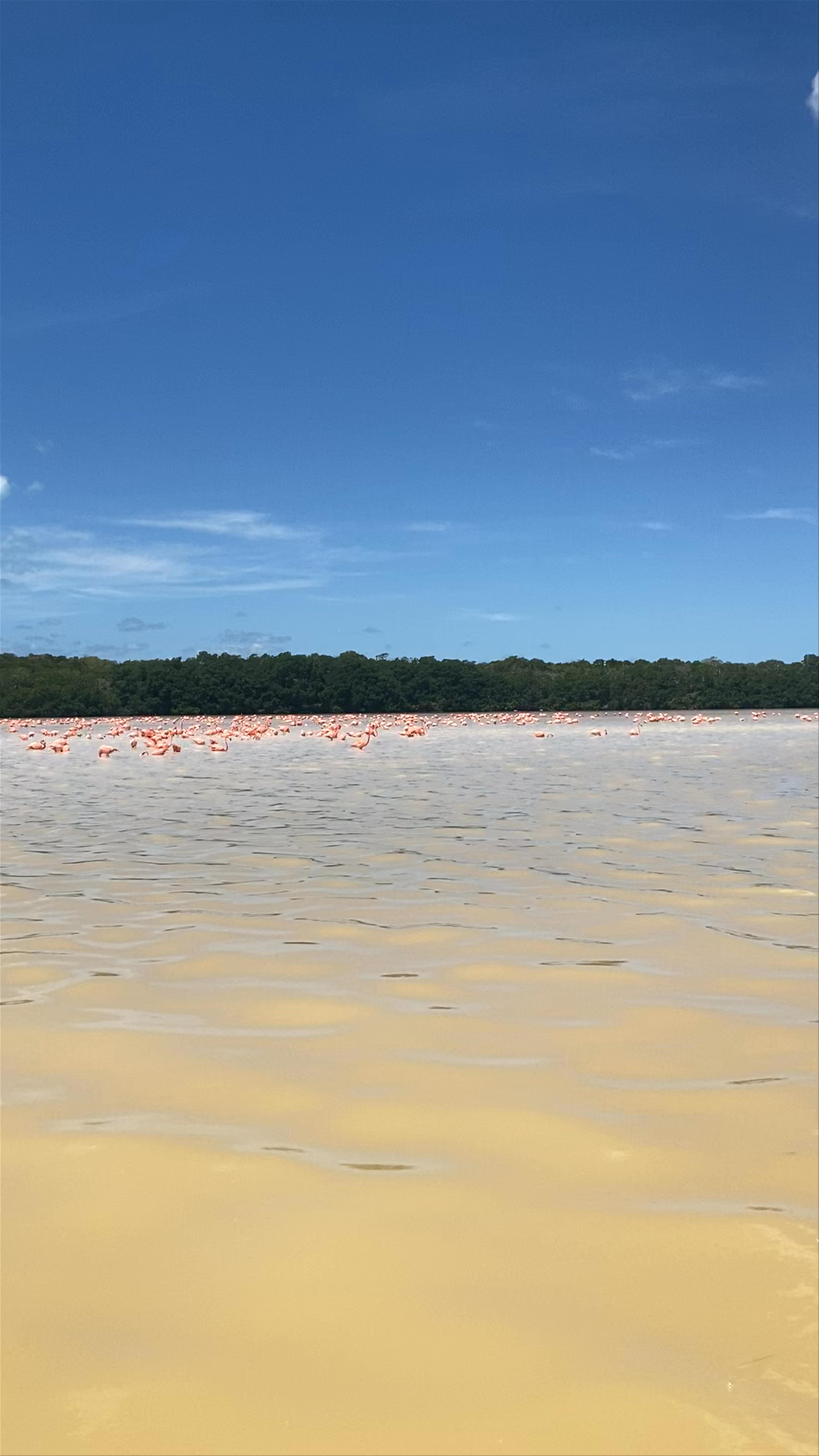 JALTUN PARQUE ECOTURISTICO