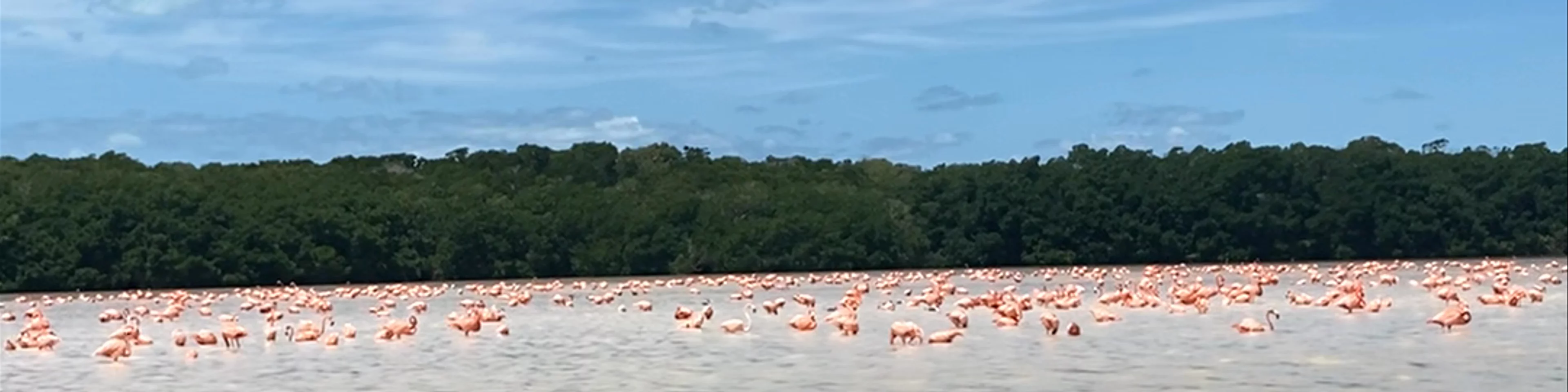 JALTUN PARQUE ECOTURISTICO