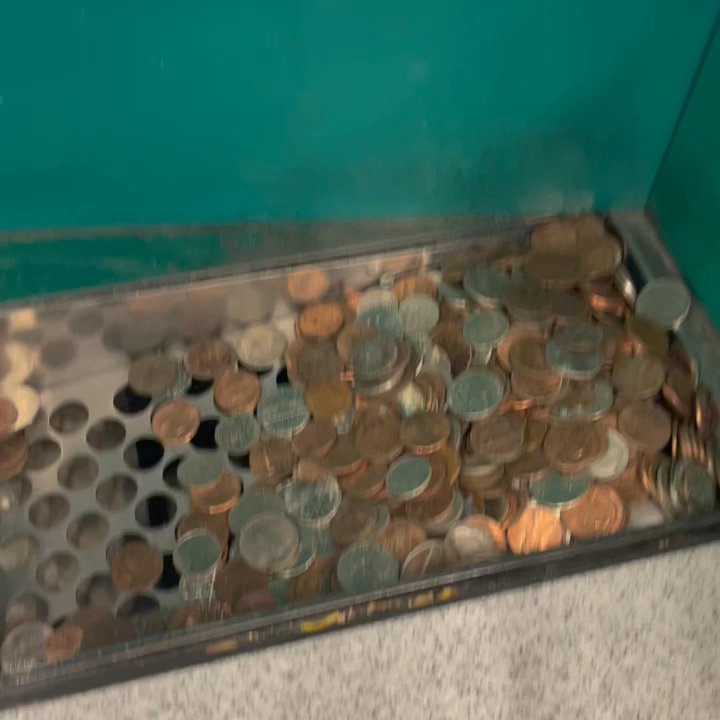 Foodmaxx - Off work pay he he all these coins I find out n the ground! Yippee for Pennie's! - Grocery Near Me - Union City, California