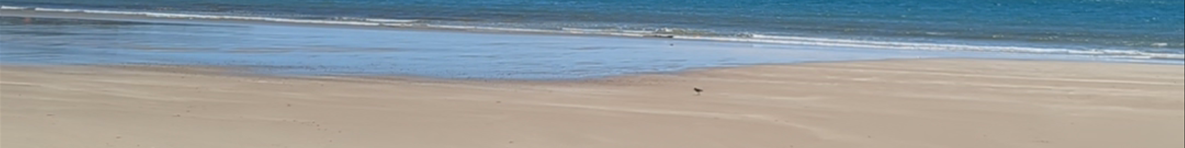 Tours & experiences in Bridport