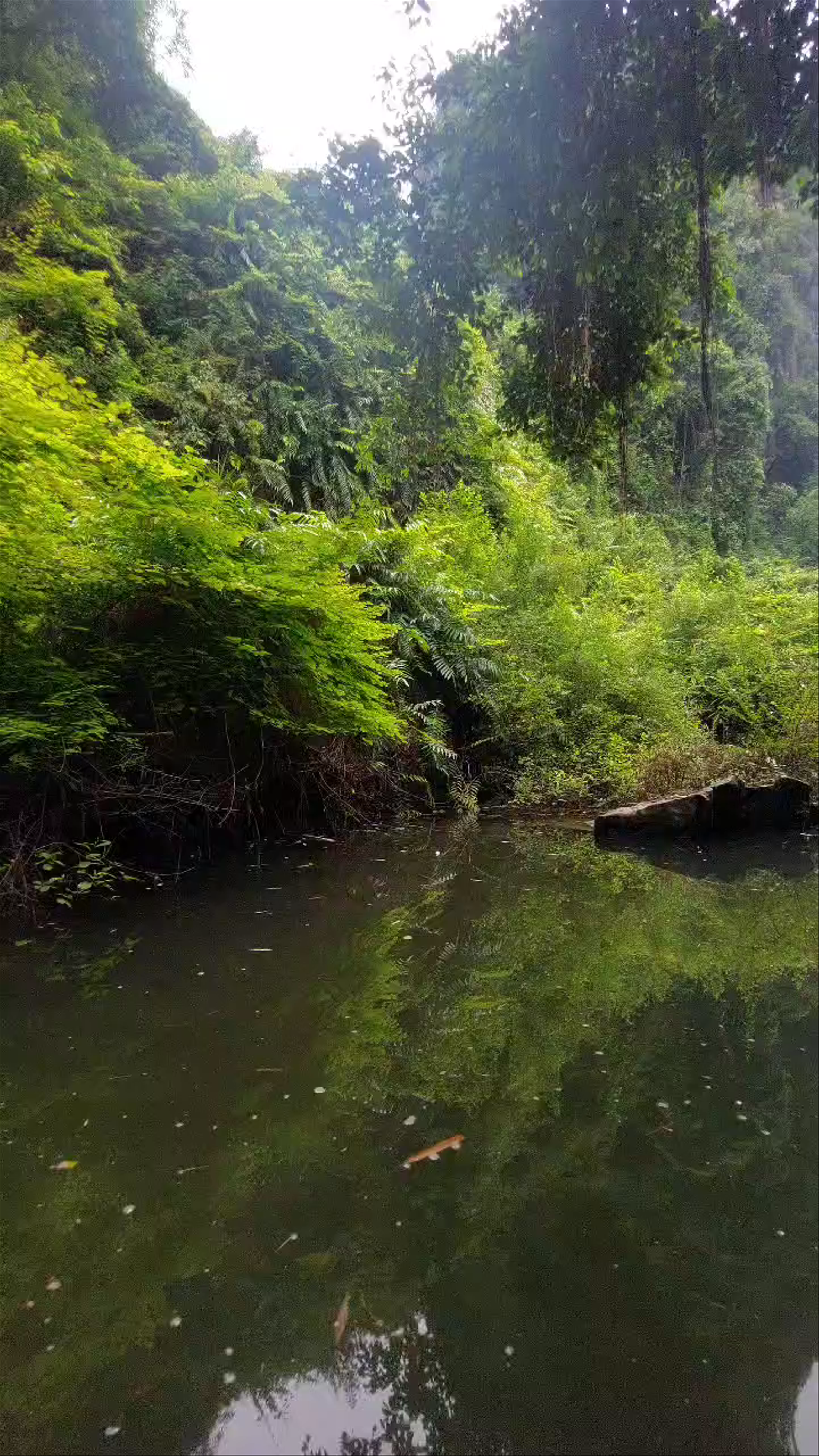 Trang An Departure Boat Ticket