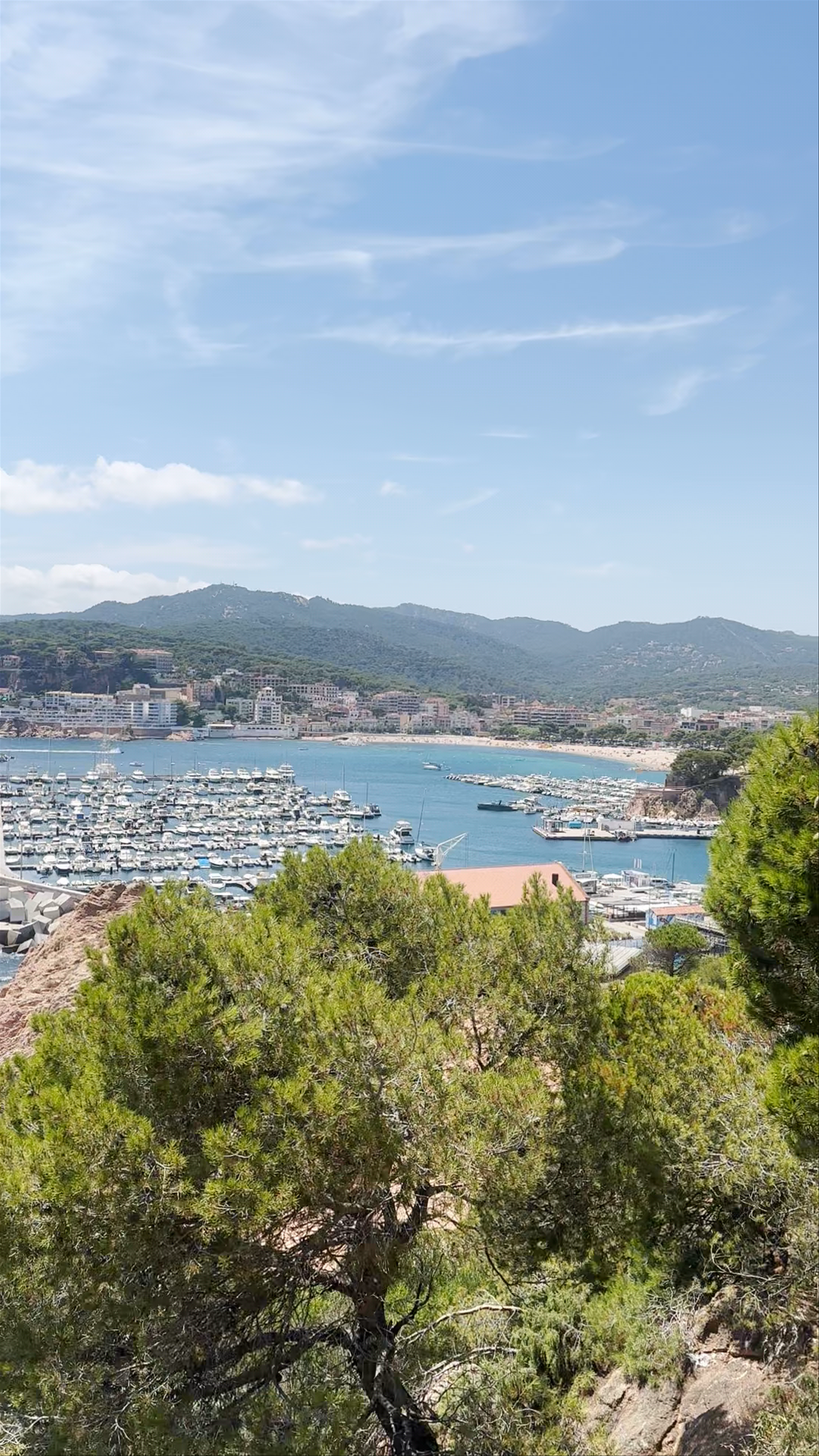 Cala Jonca