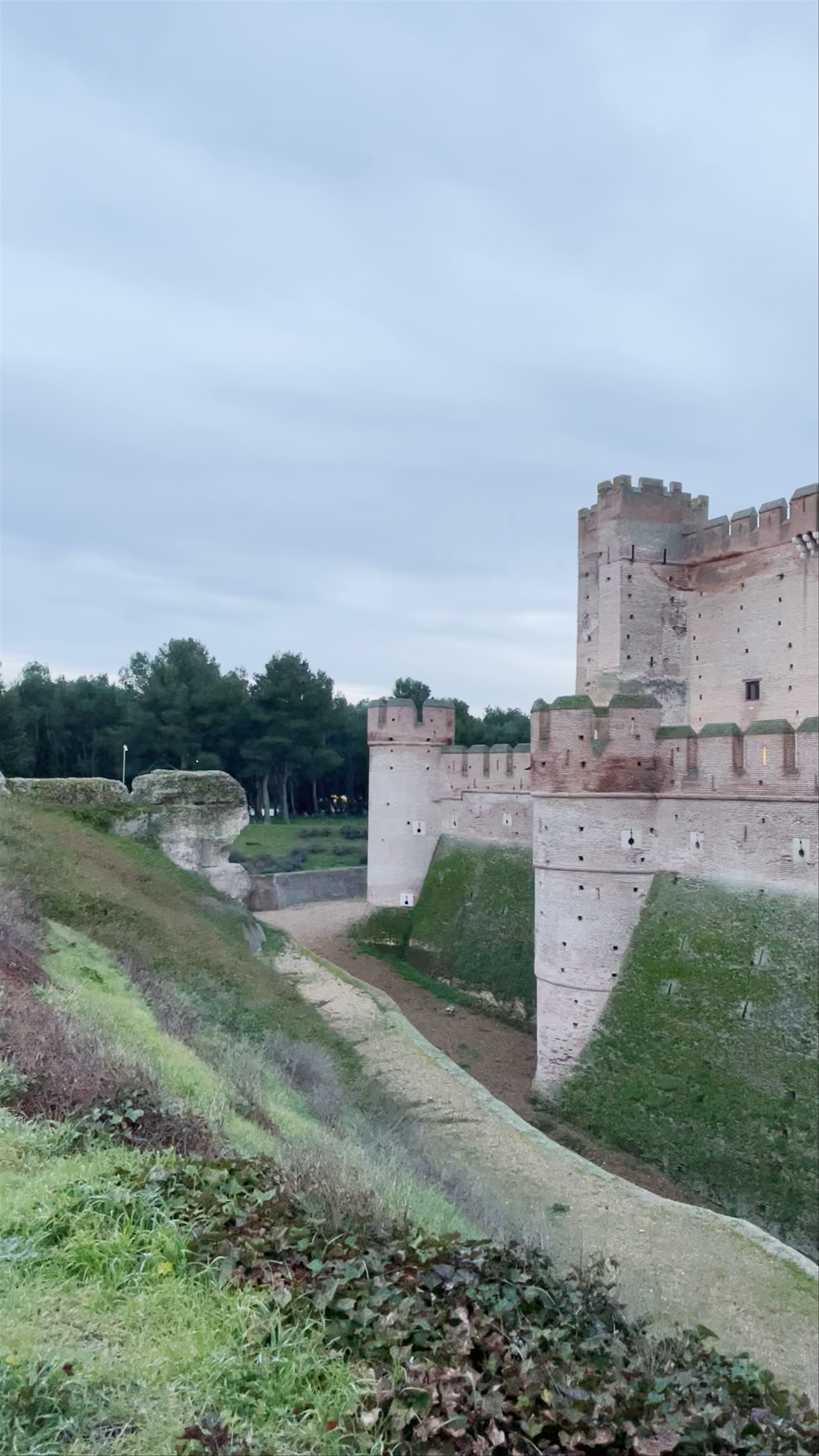 Castillo de la Mota