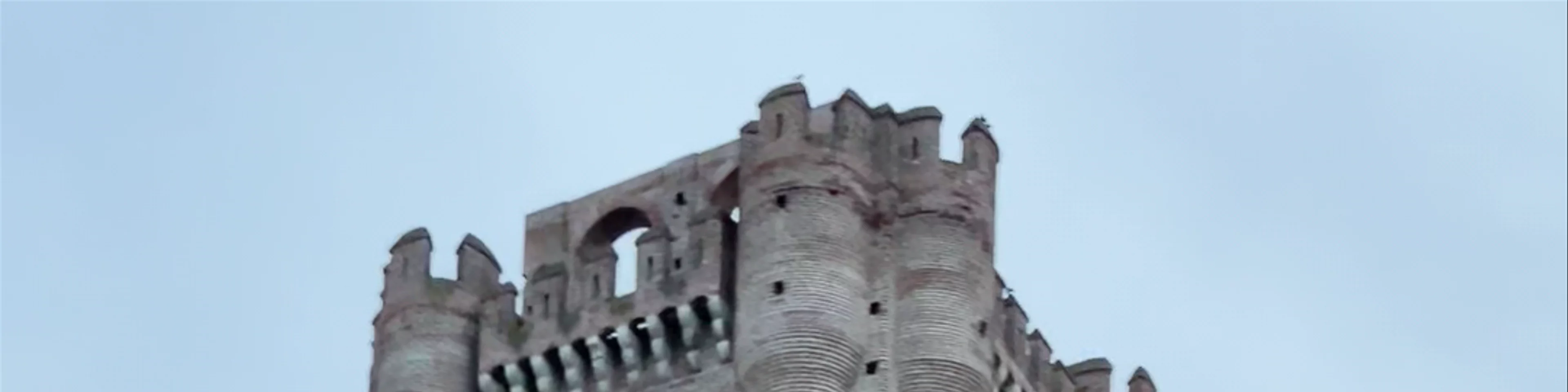 Castillo de la Mota