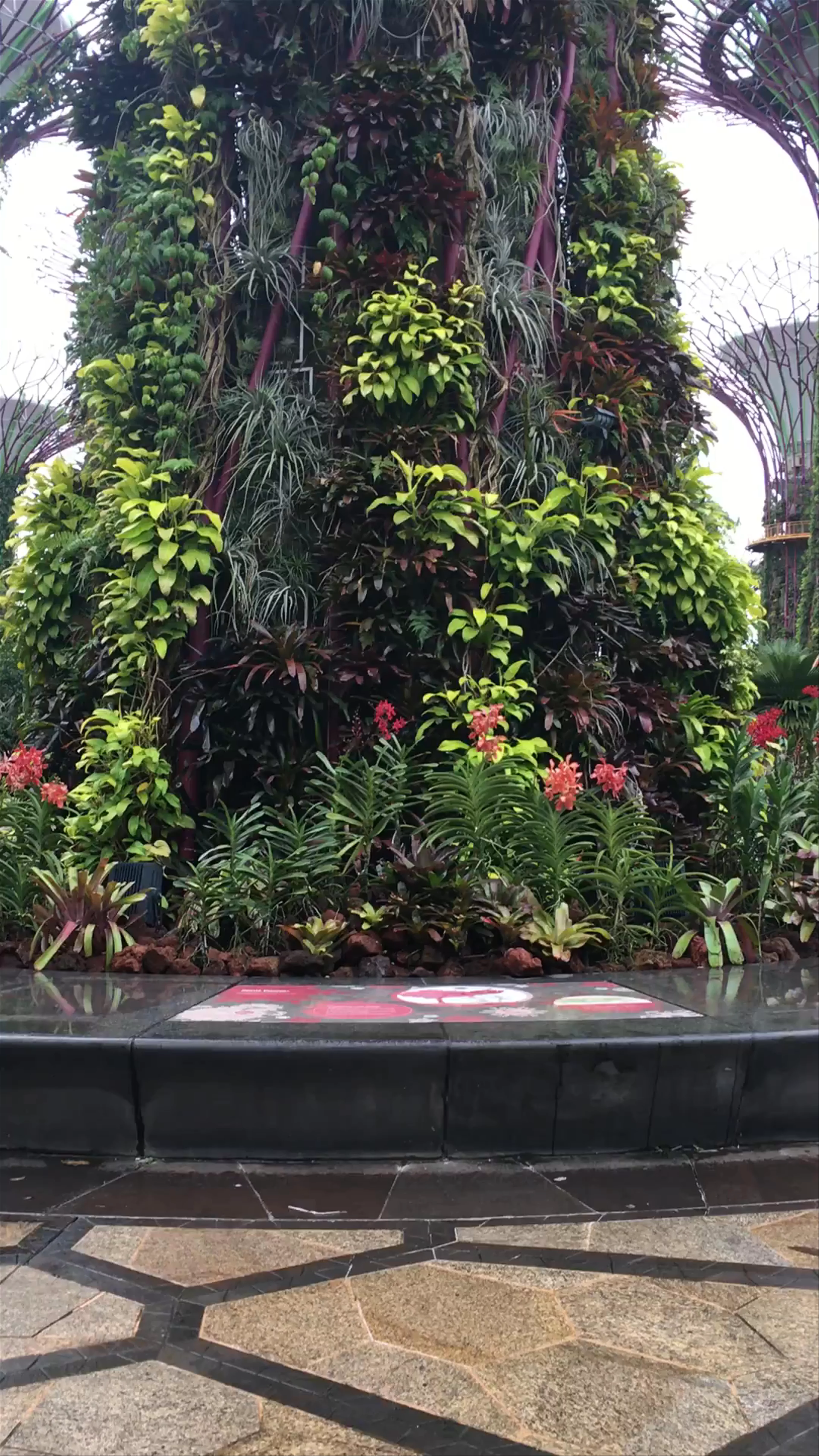 Marina Gardens Drive, Cloud Forest