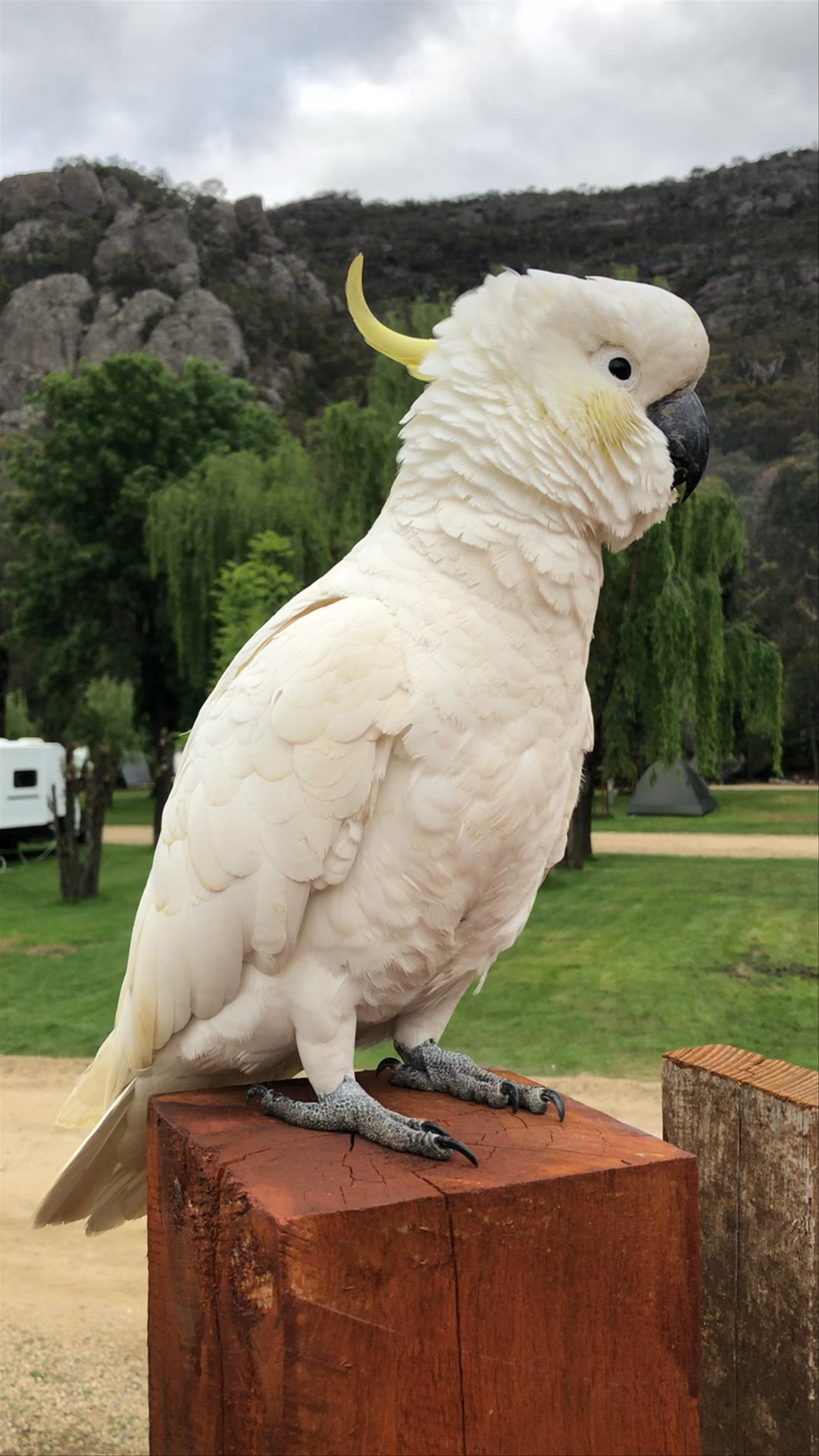 Halls Gap Lakeside Tourist Park