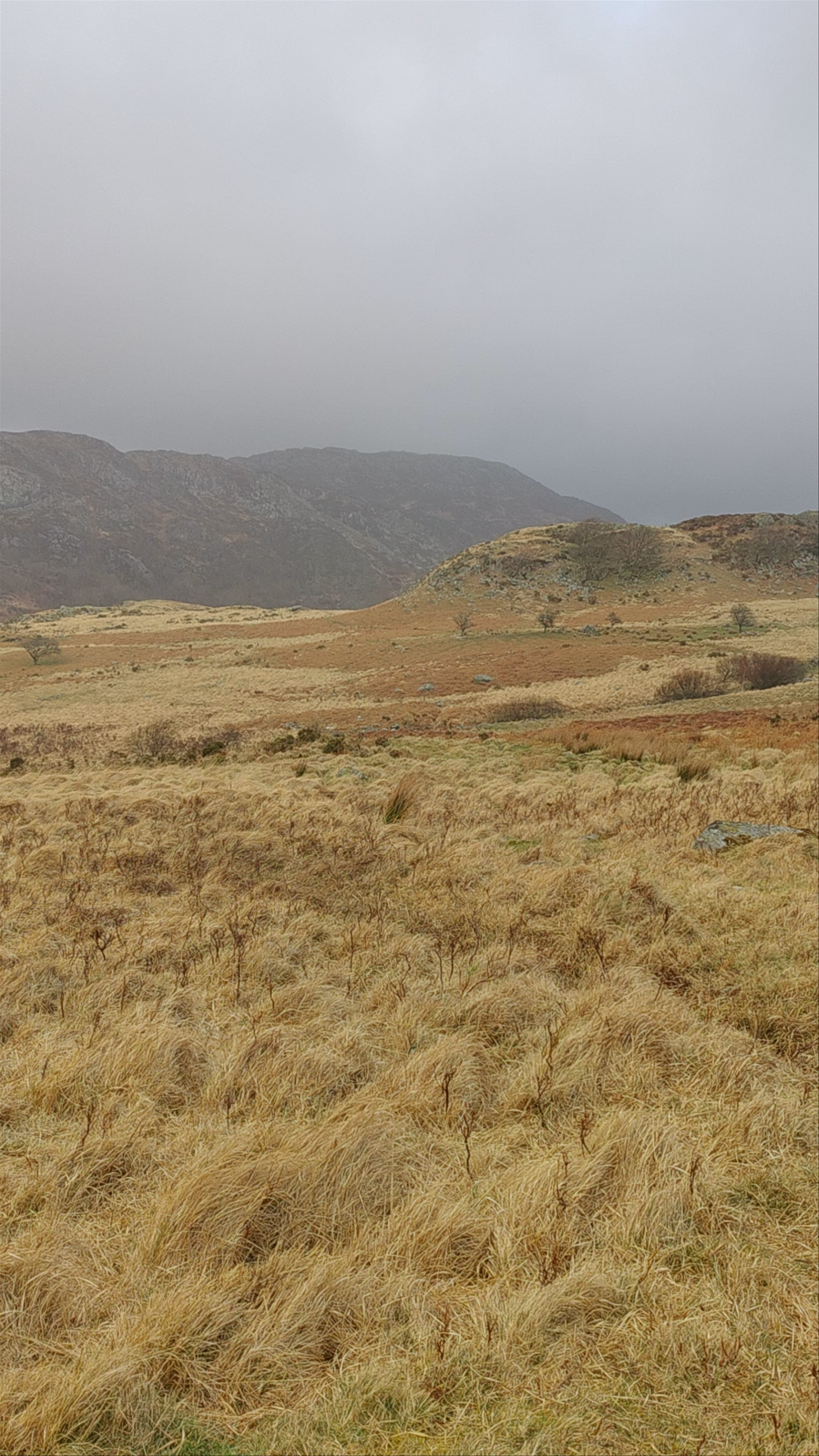 Capel Curig Training Camp