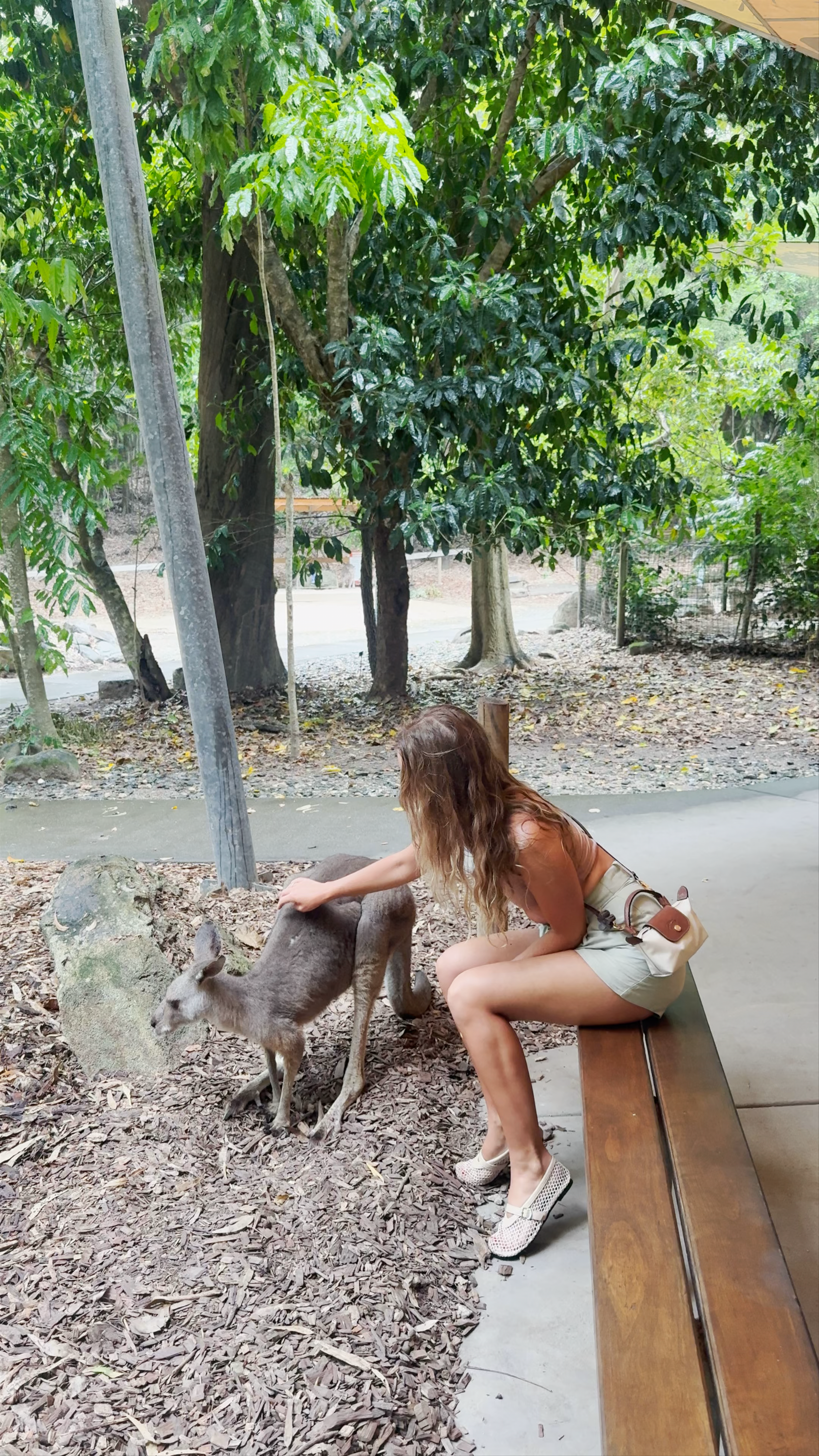 Heartwarming Wildlife Encounter at Hartley’s Crocodile Adventures, Queensland