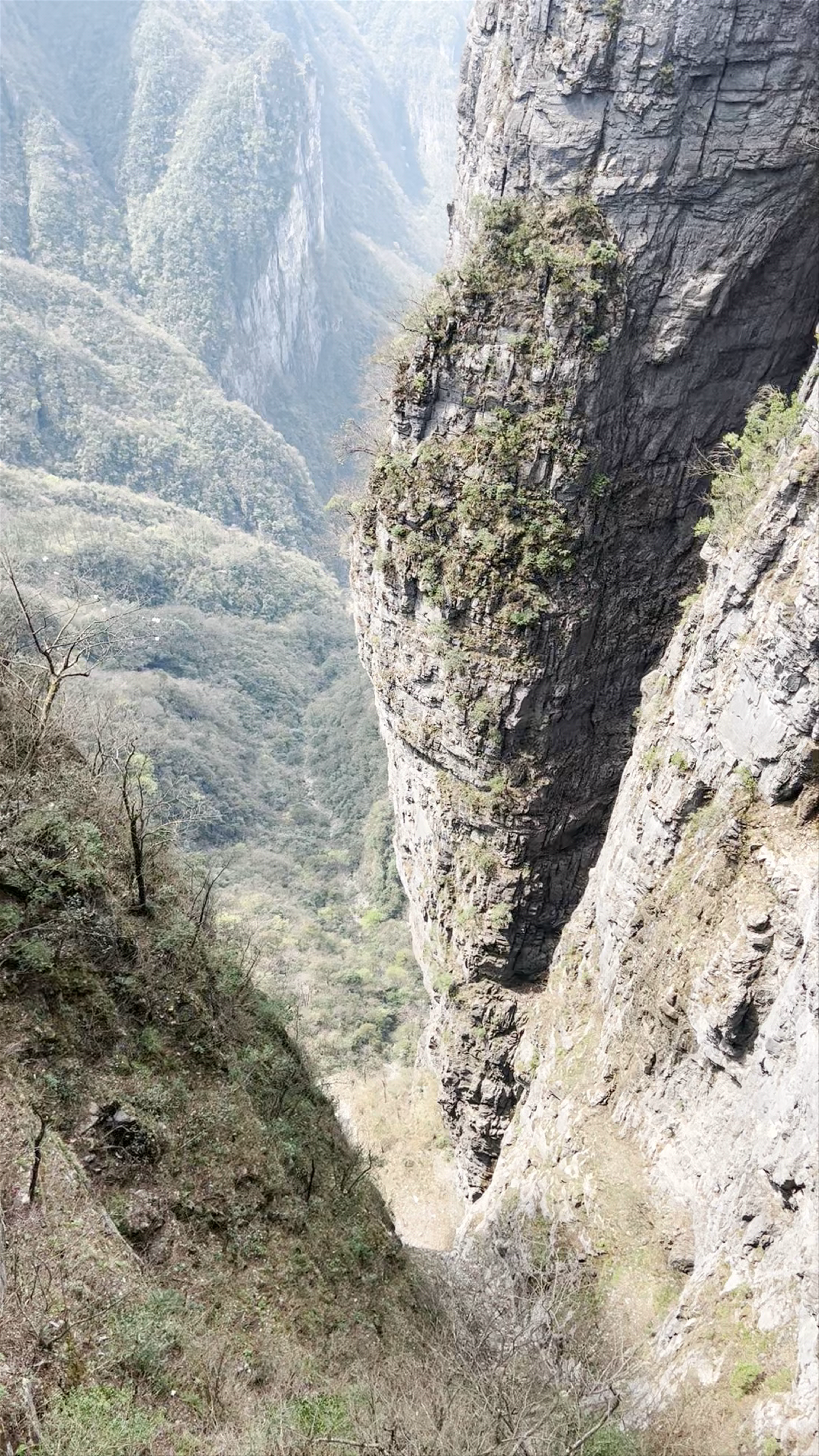 National Forest Pk of Tianmen Mountain