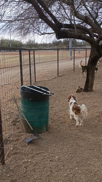 SMILING DOG RANCH AT GEORGE MEHL FAMILY PARK - Updated December 2025 ...