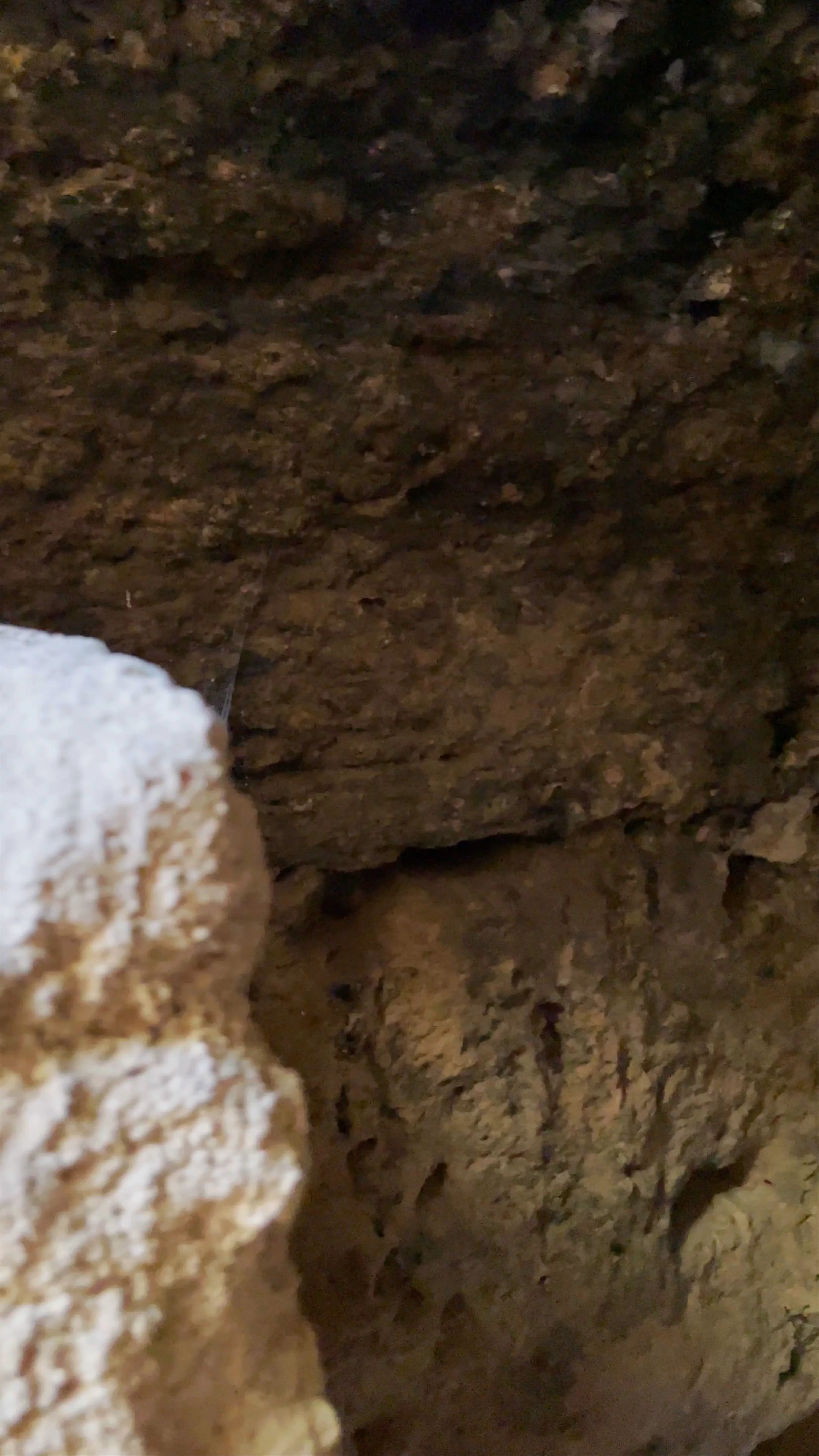 Agia Solomoni Catacomb