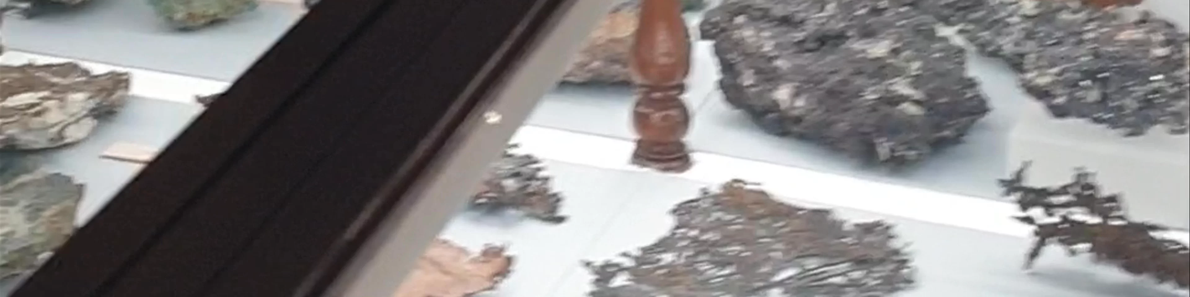 Royal Cornwall Museum