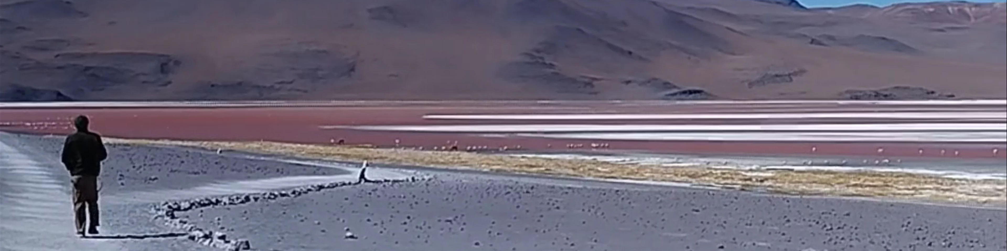 Laguna Colorada