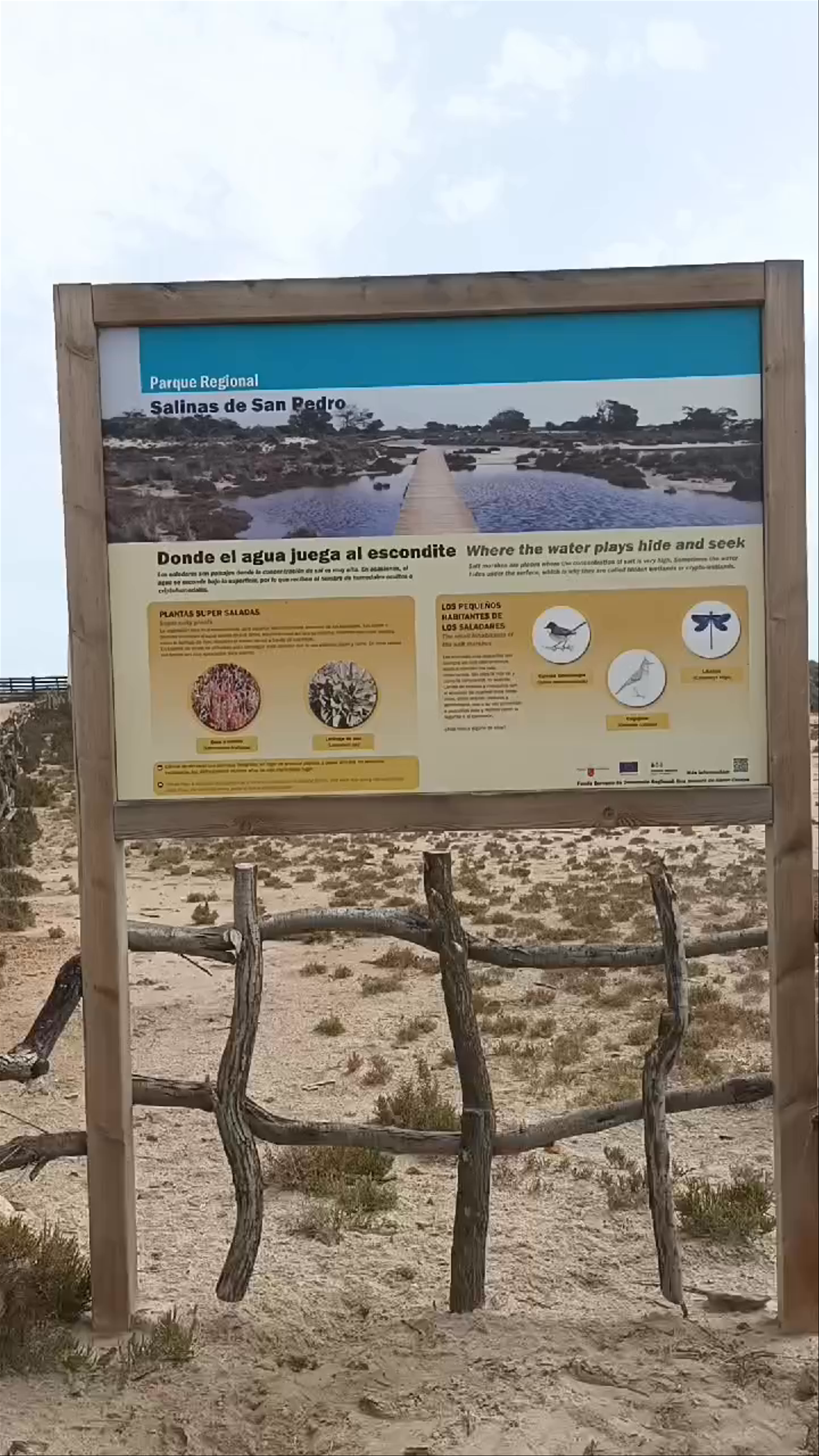 Parque Regional de las Salinas y Arenales de San Pedro del Pinatar