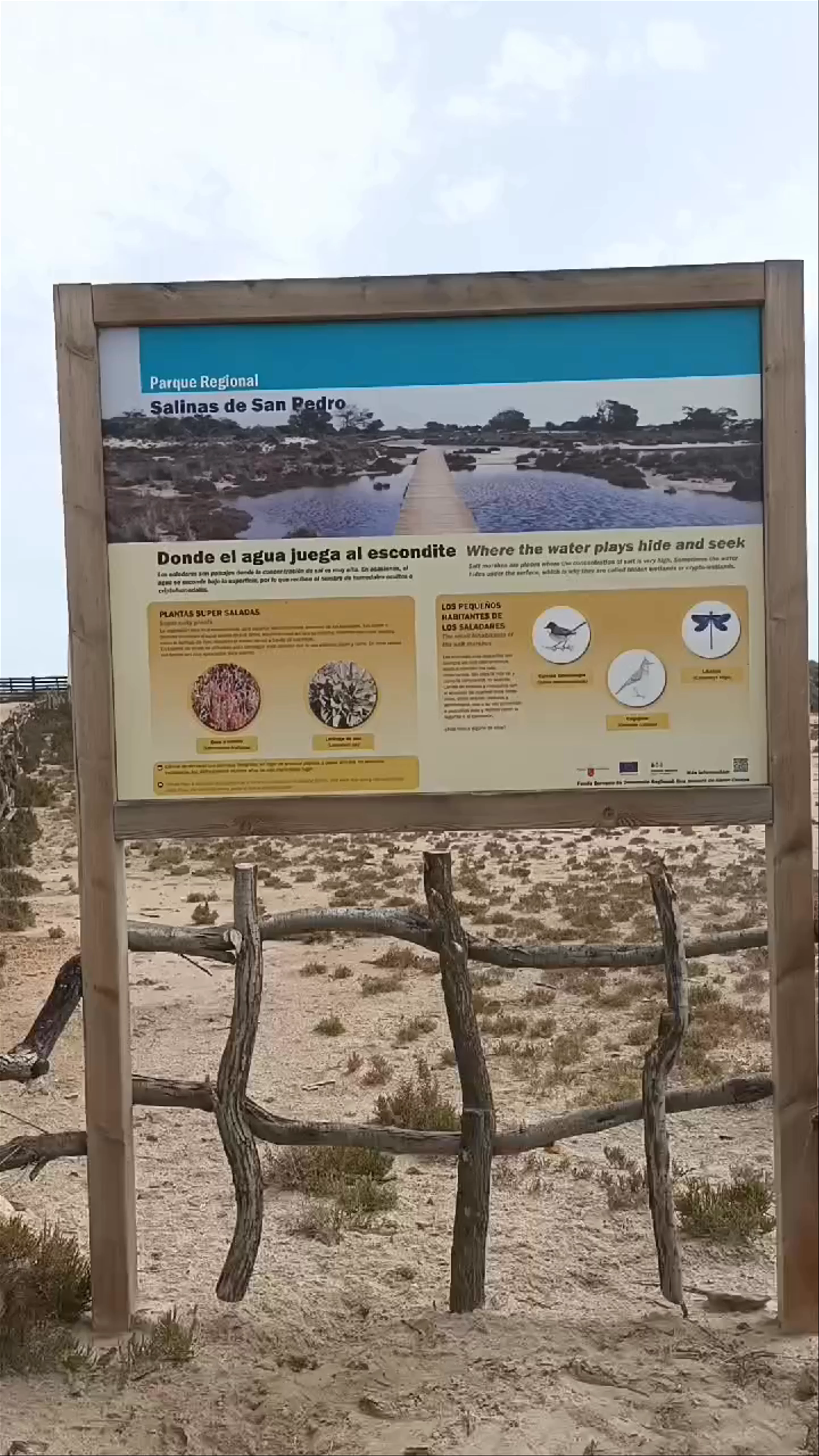 Parque Regional de las Salinas y Arenales de San Pedro del Pinatar