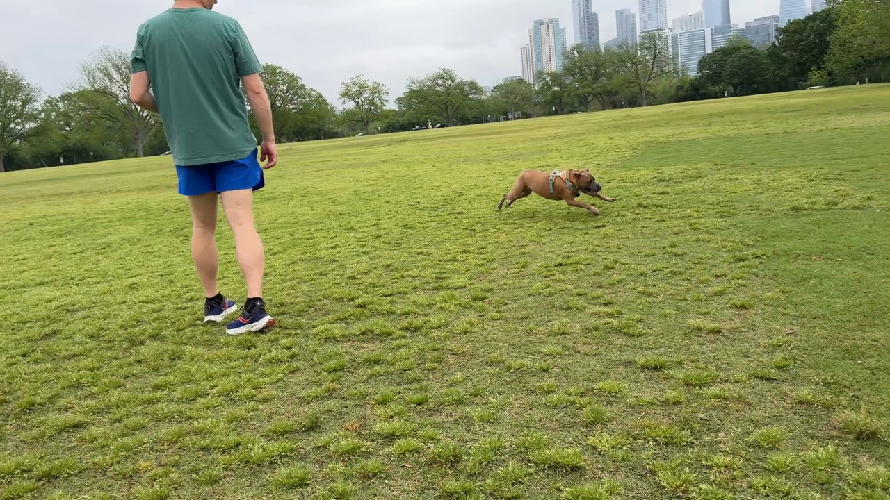 Zilker Metropolitan Park - lots of room for zoomies! - Parks Near Me - Austin, Texas
