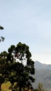 Tours & experiences in Badulla
