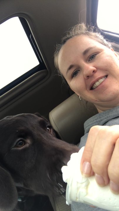 Starbucks - Pup cup - Coffee & Tea Near Me - Dayton, Ohio