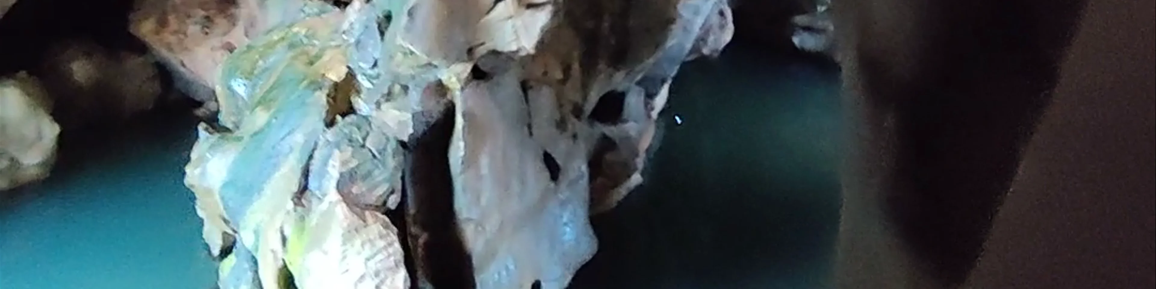 珍珠塔