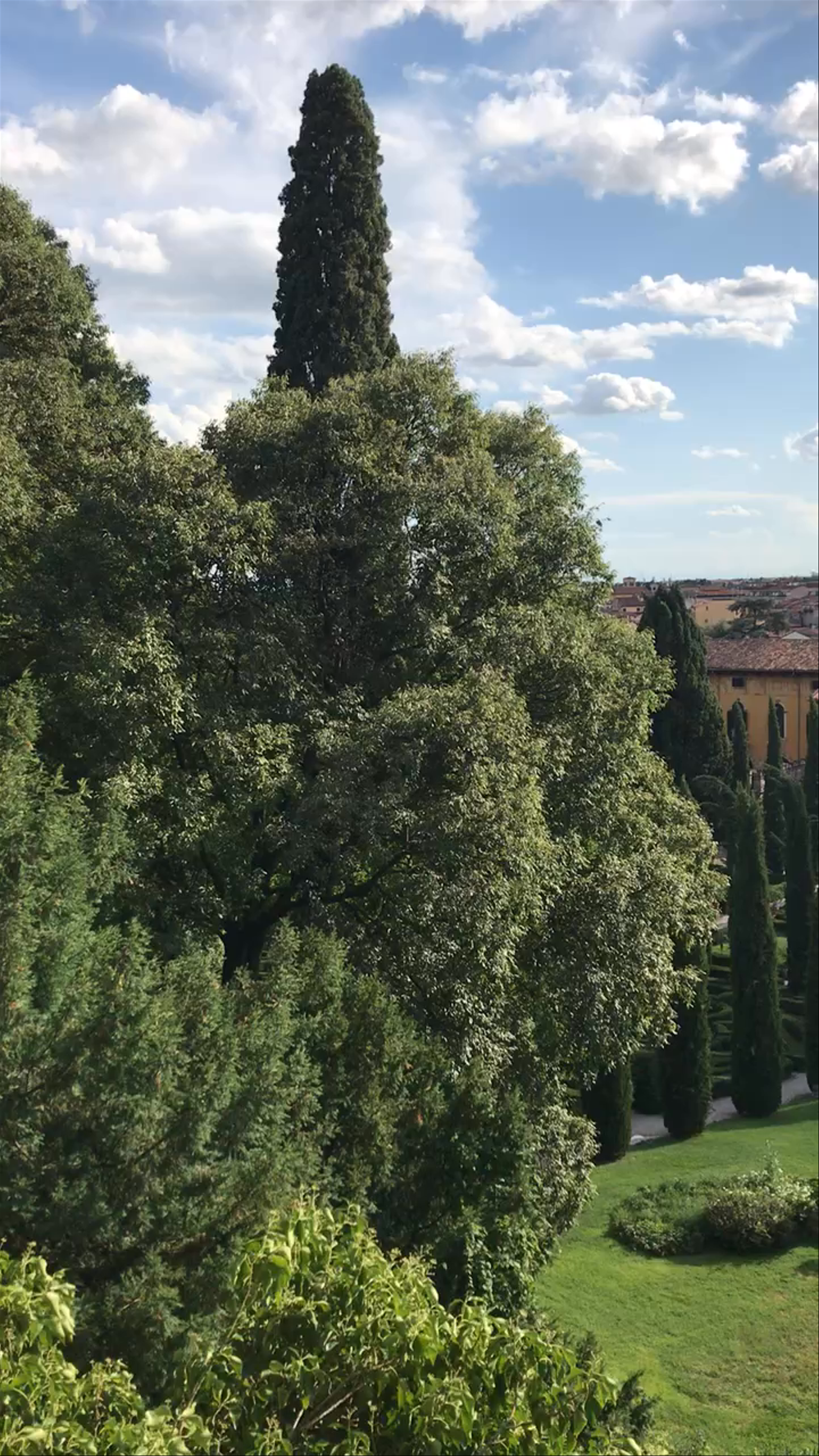 Giardino Giusti, Verona