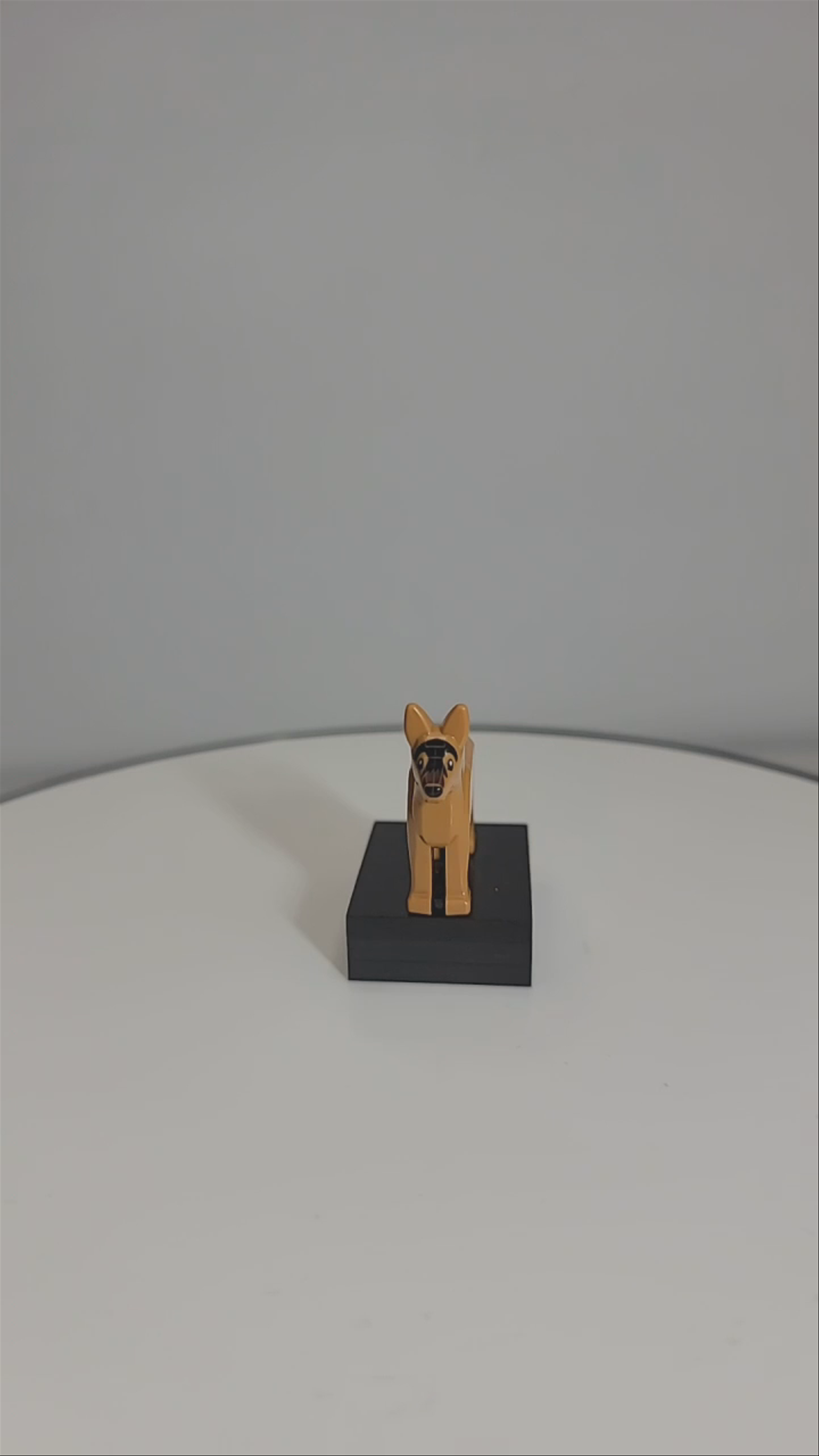 Dog for $3