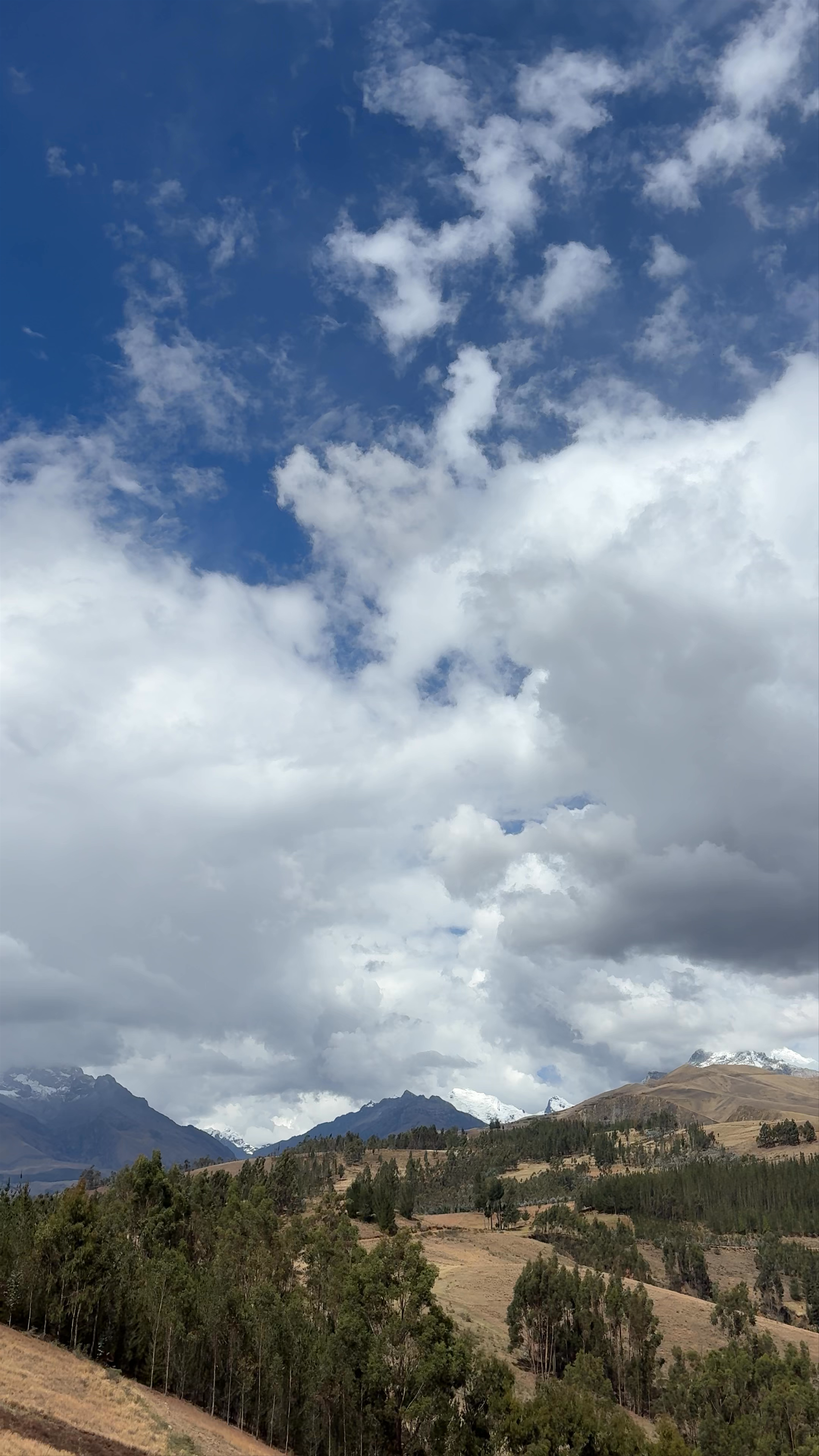 Yacimiento Arqueológico Cruz Punta