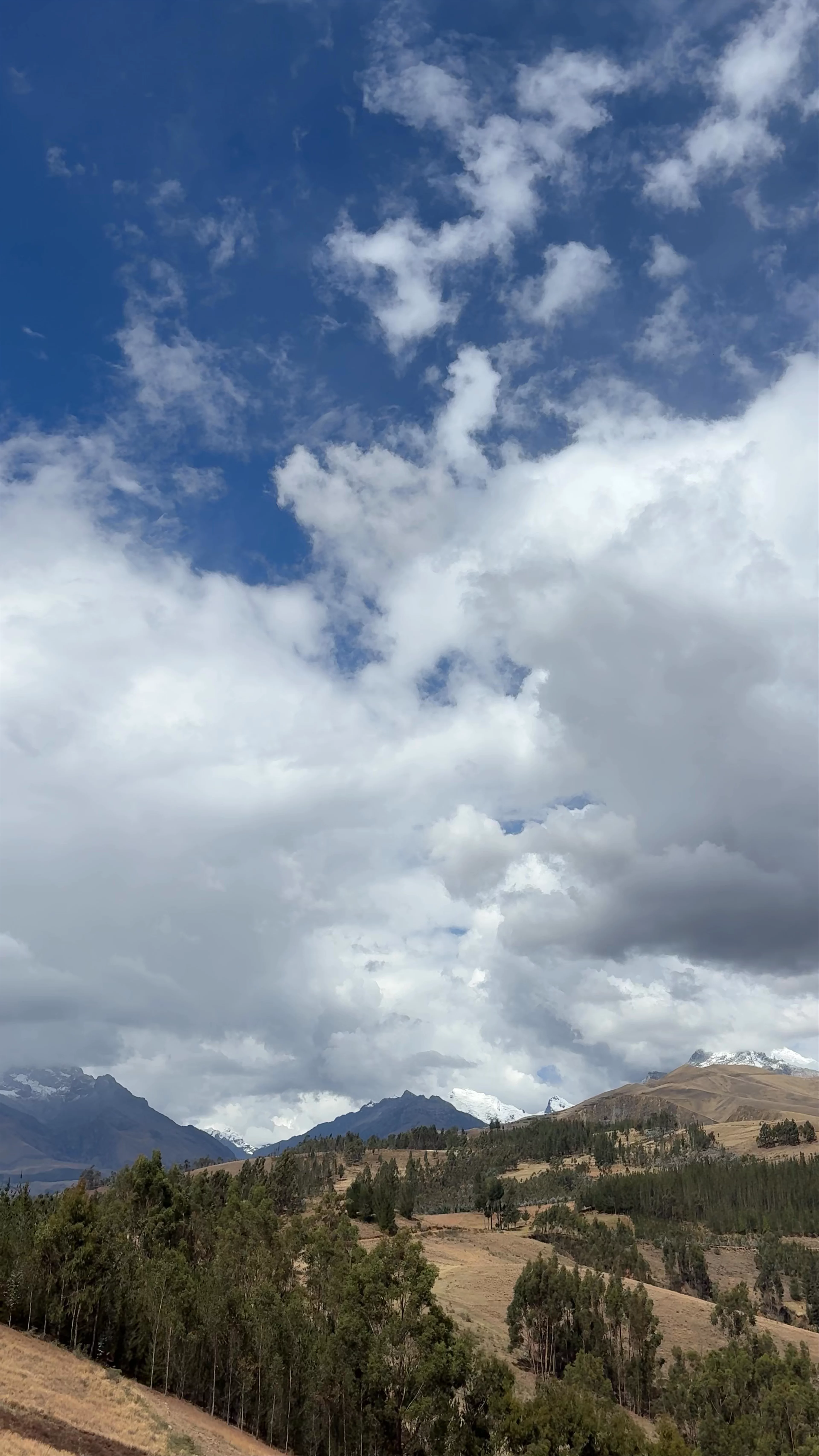 Yacimiento Arqueológico Cruz Punta