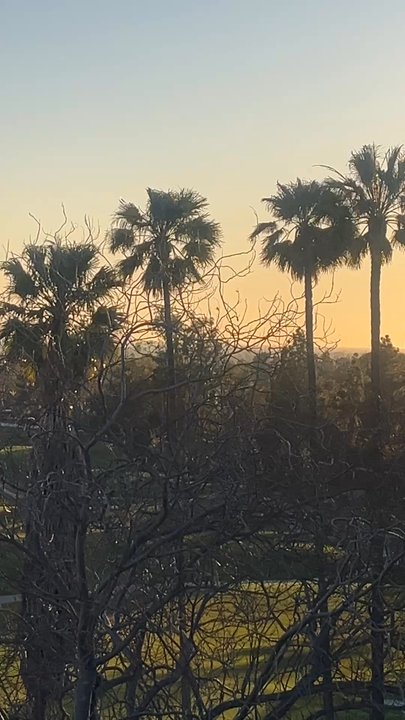 Citrus Ranch Park - Parks Near Me - Tustin, California