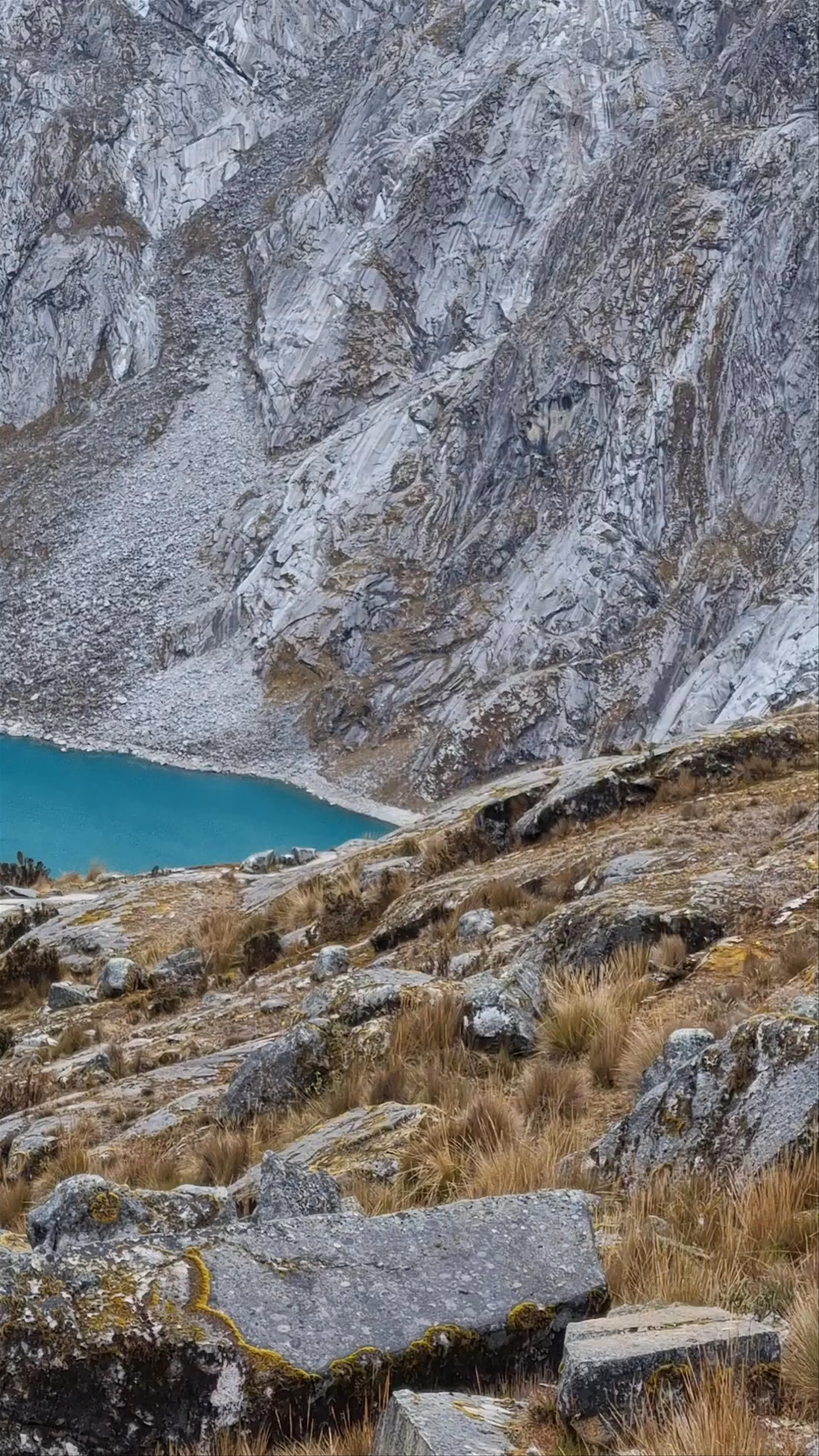 Taullicocha