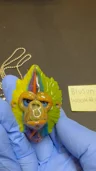 Small image 2