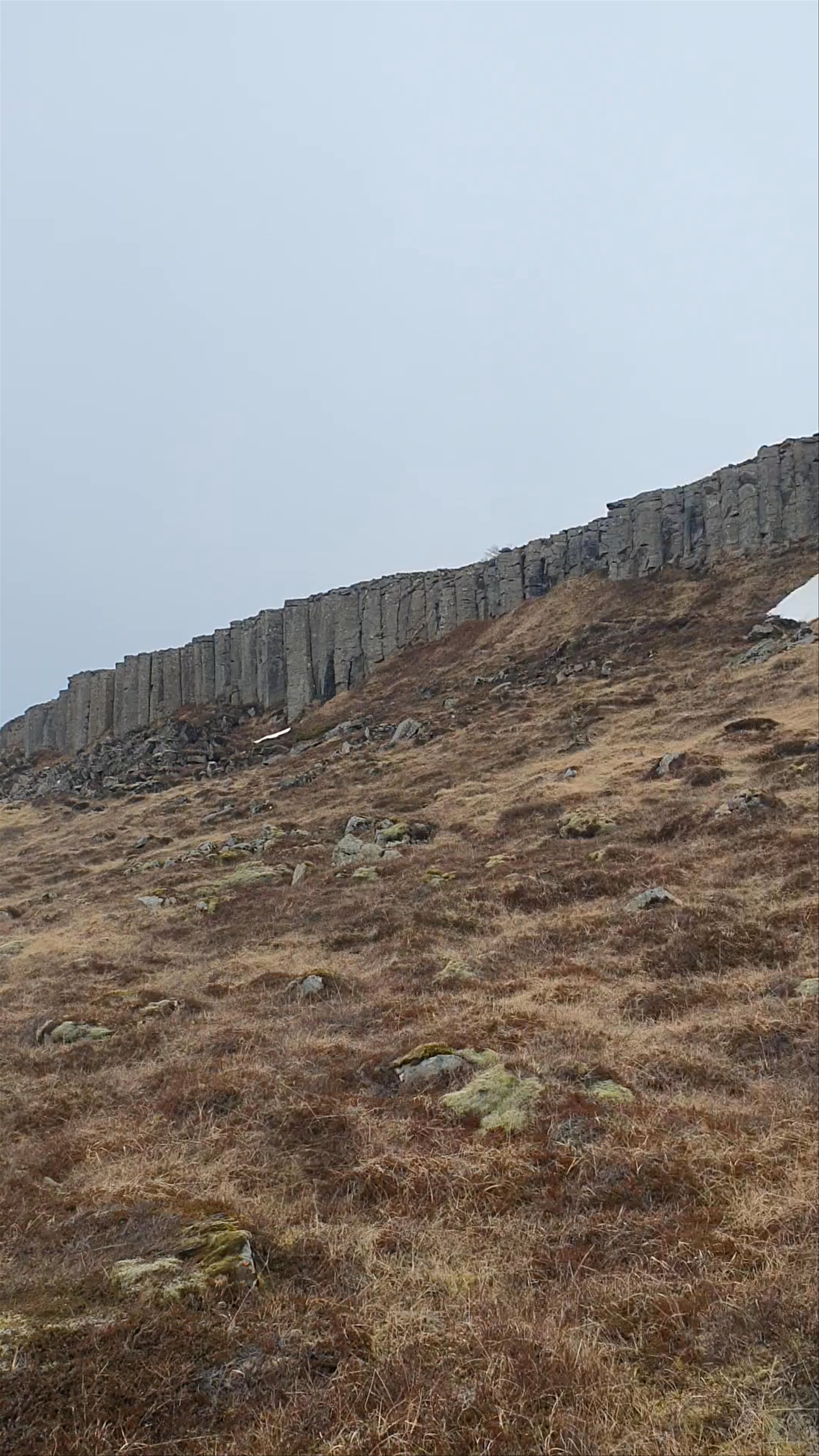 Gerðuberg Cliffs