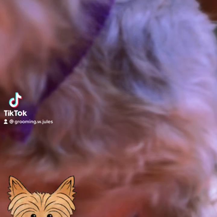 Video thumbnail 25 more videos