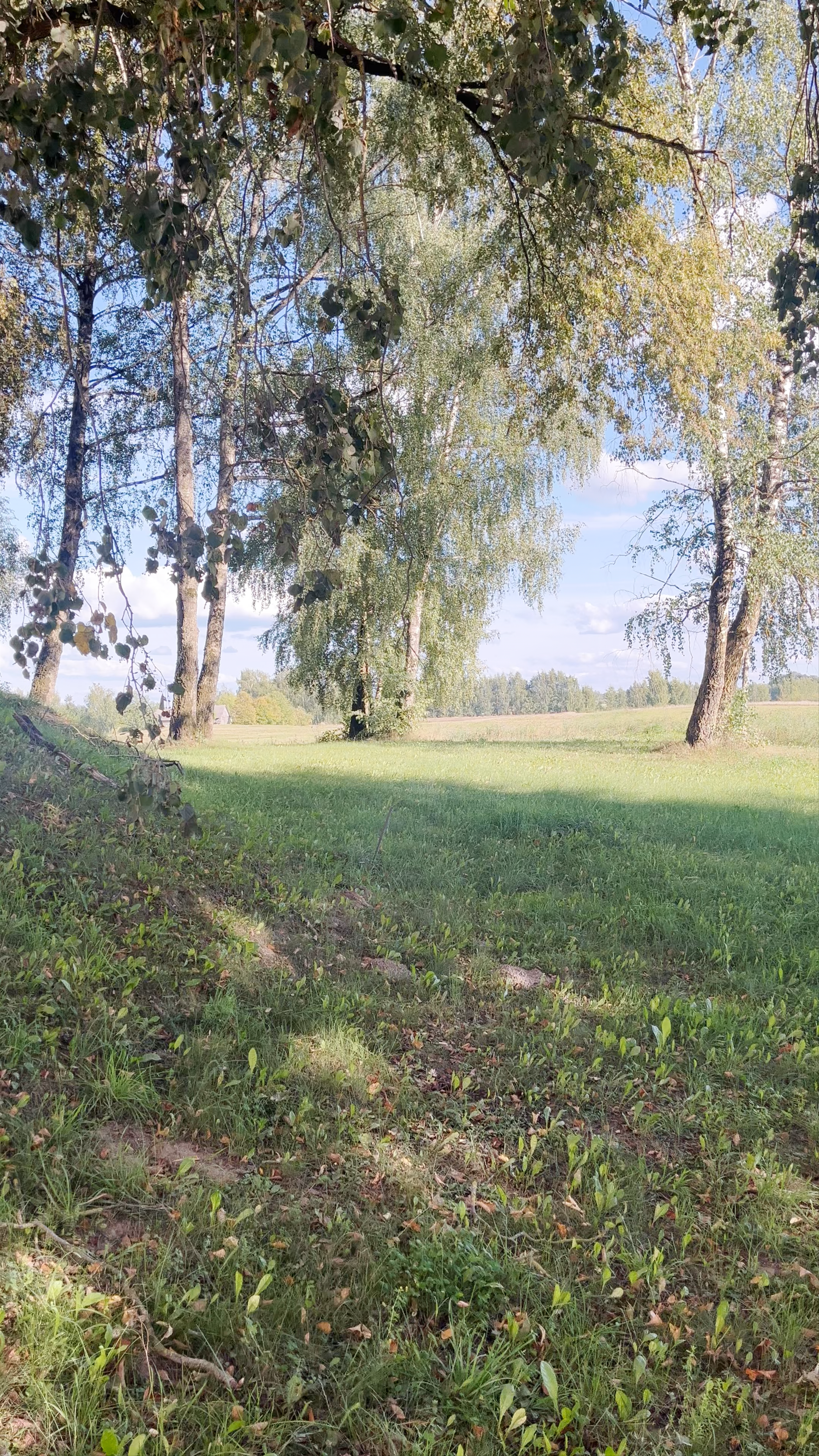 Valles luterāņu baznīca