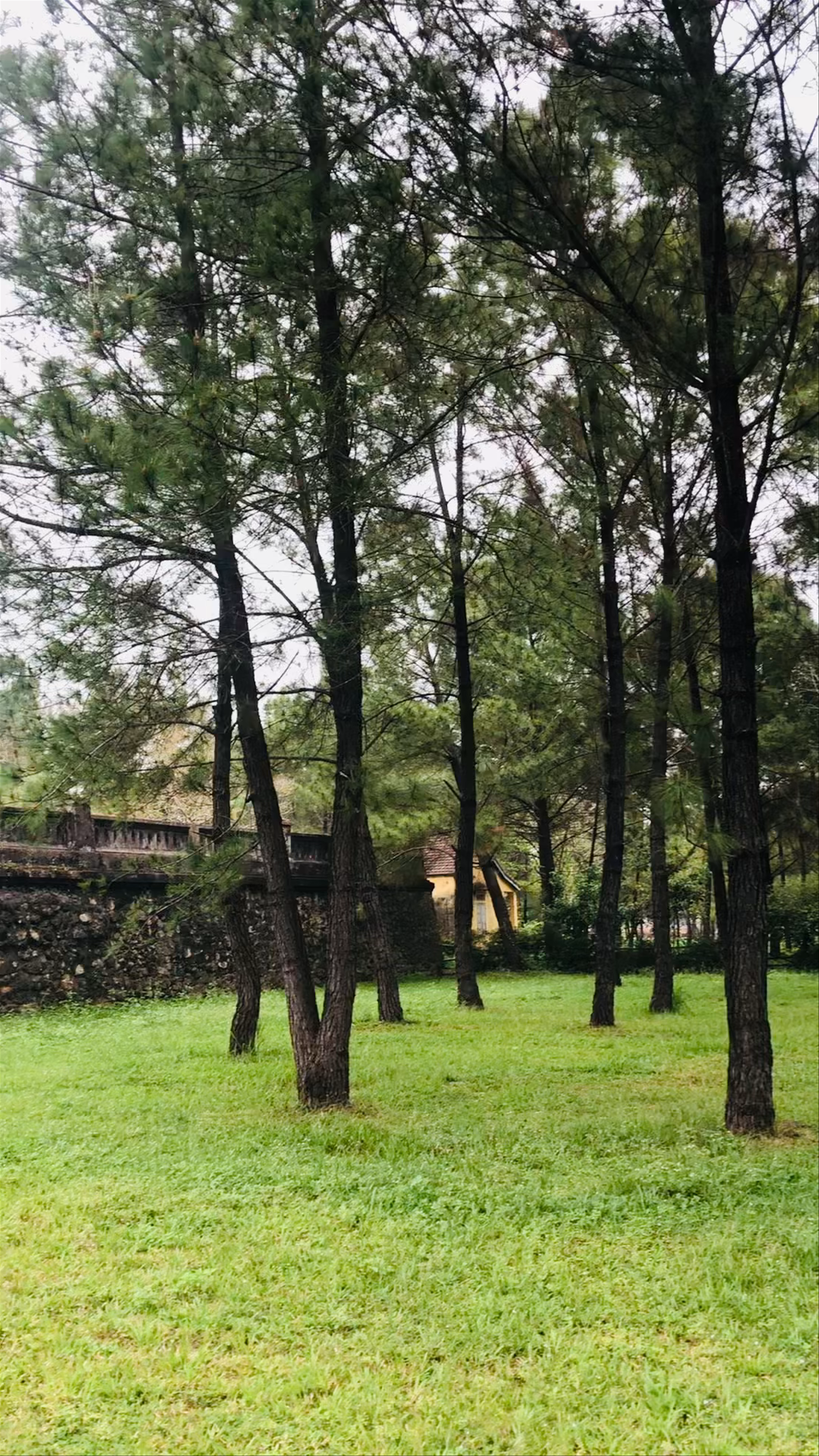 Temple of Literature, Thua Thien Hue - A Serene Journey Through History and Nature