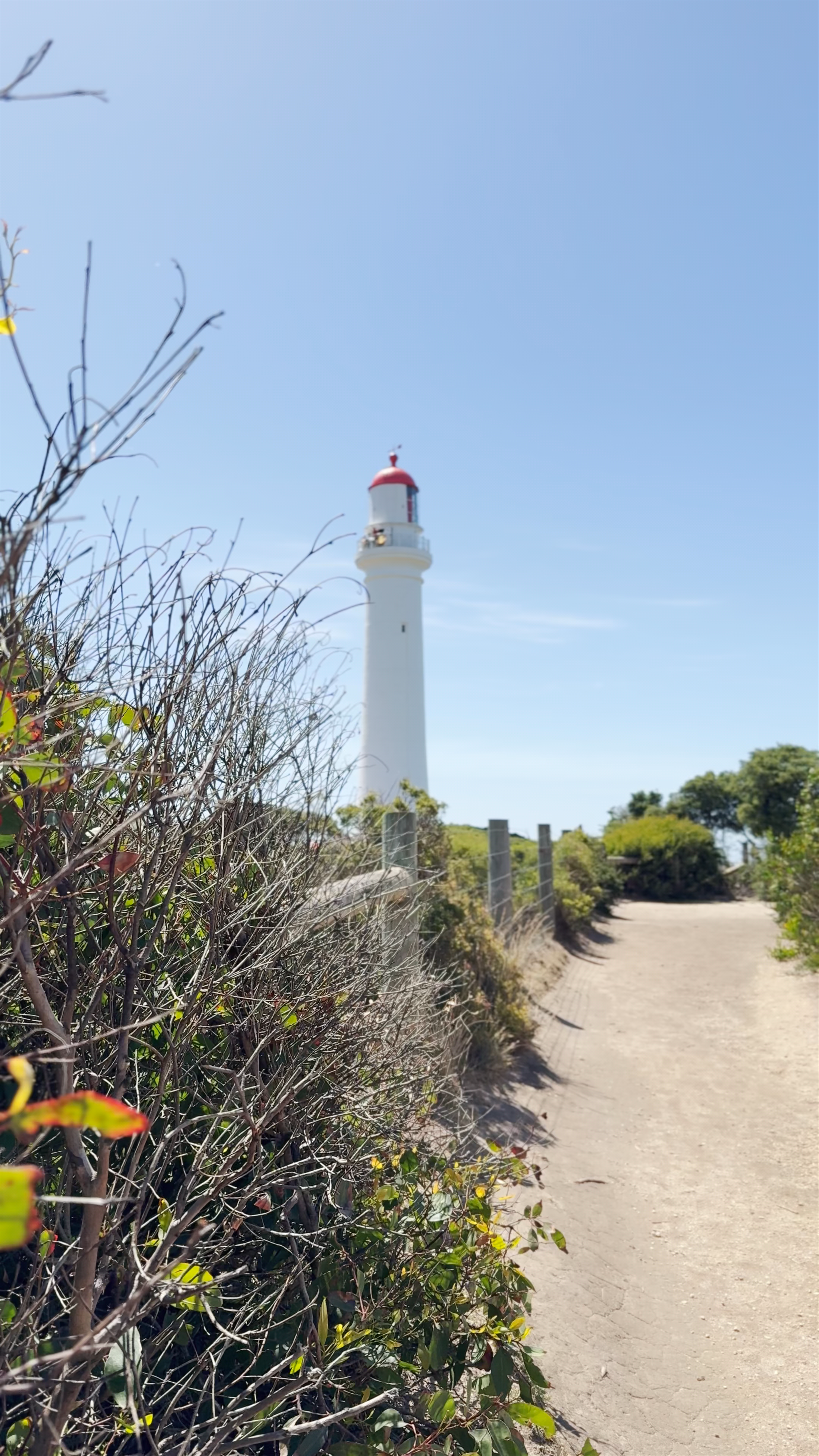 Split Point Lighthouse Tours