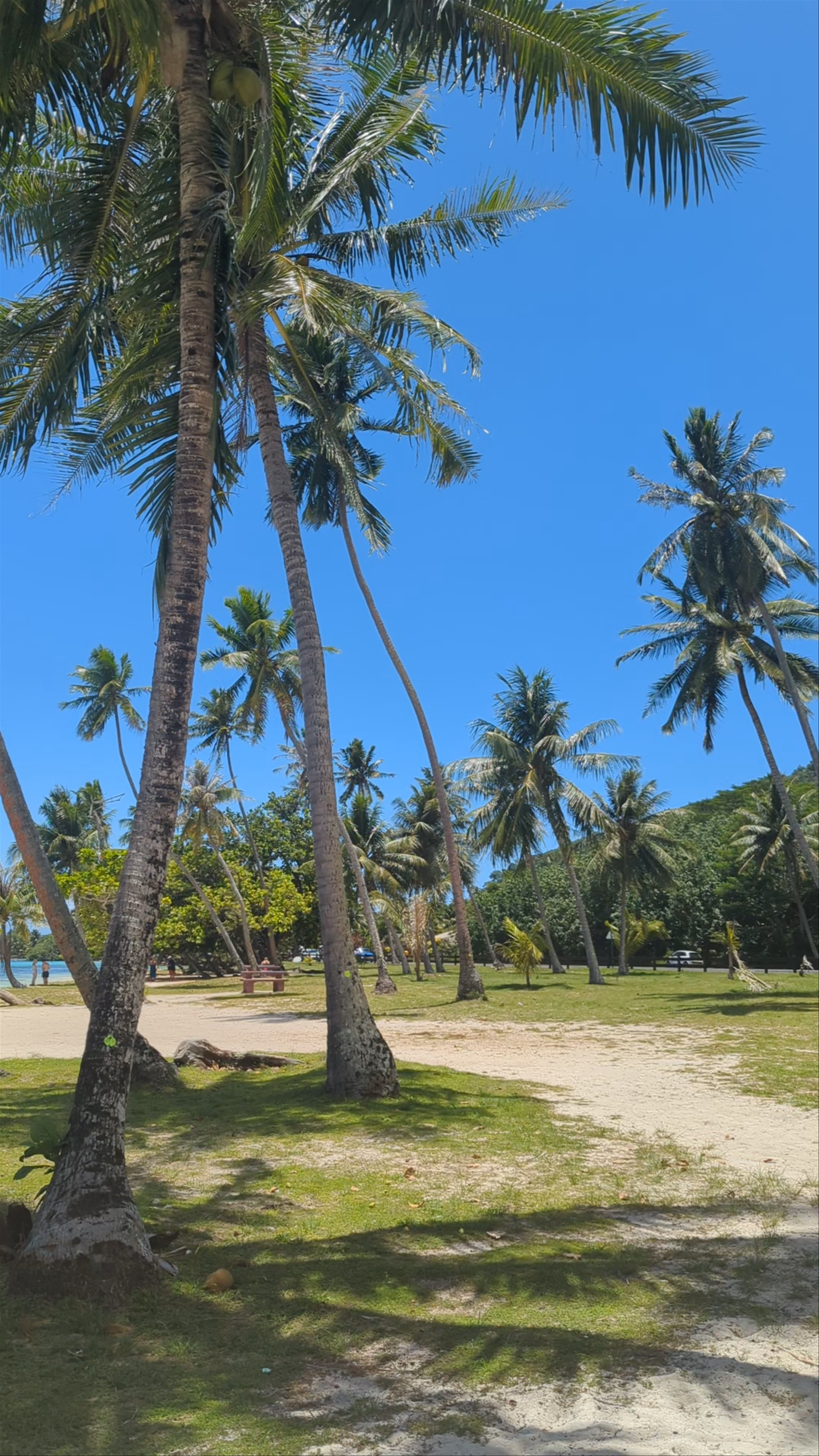 Public Beach Ta'ahiamanu