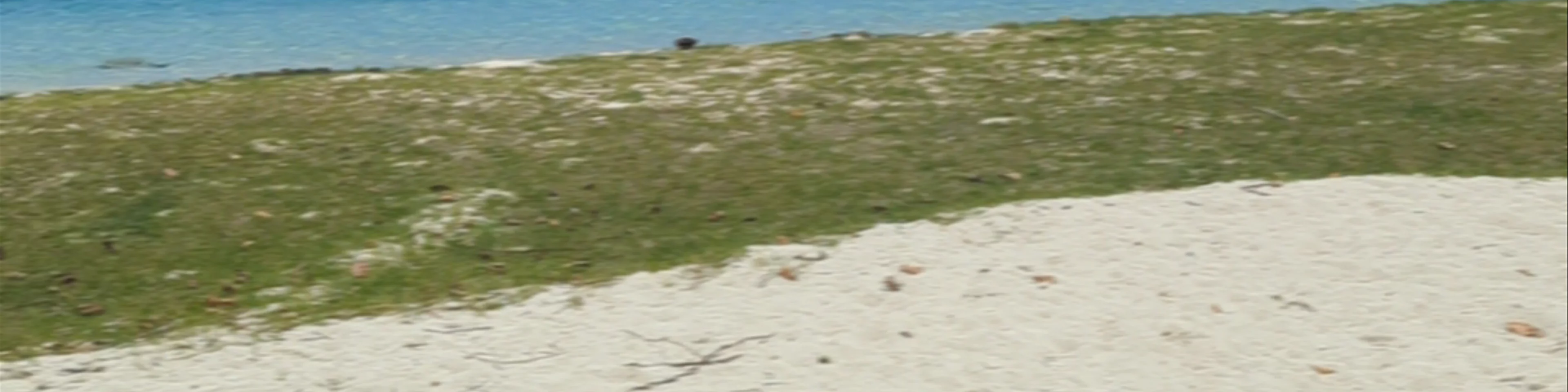 Public Beach Ta'ahiamanu