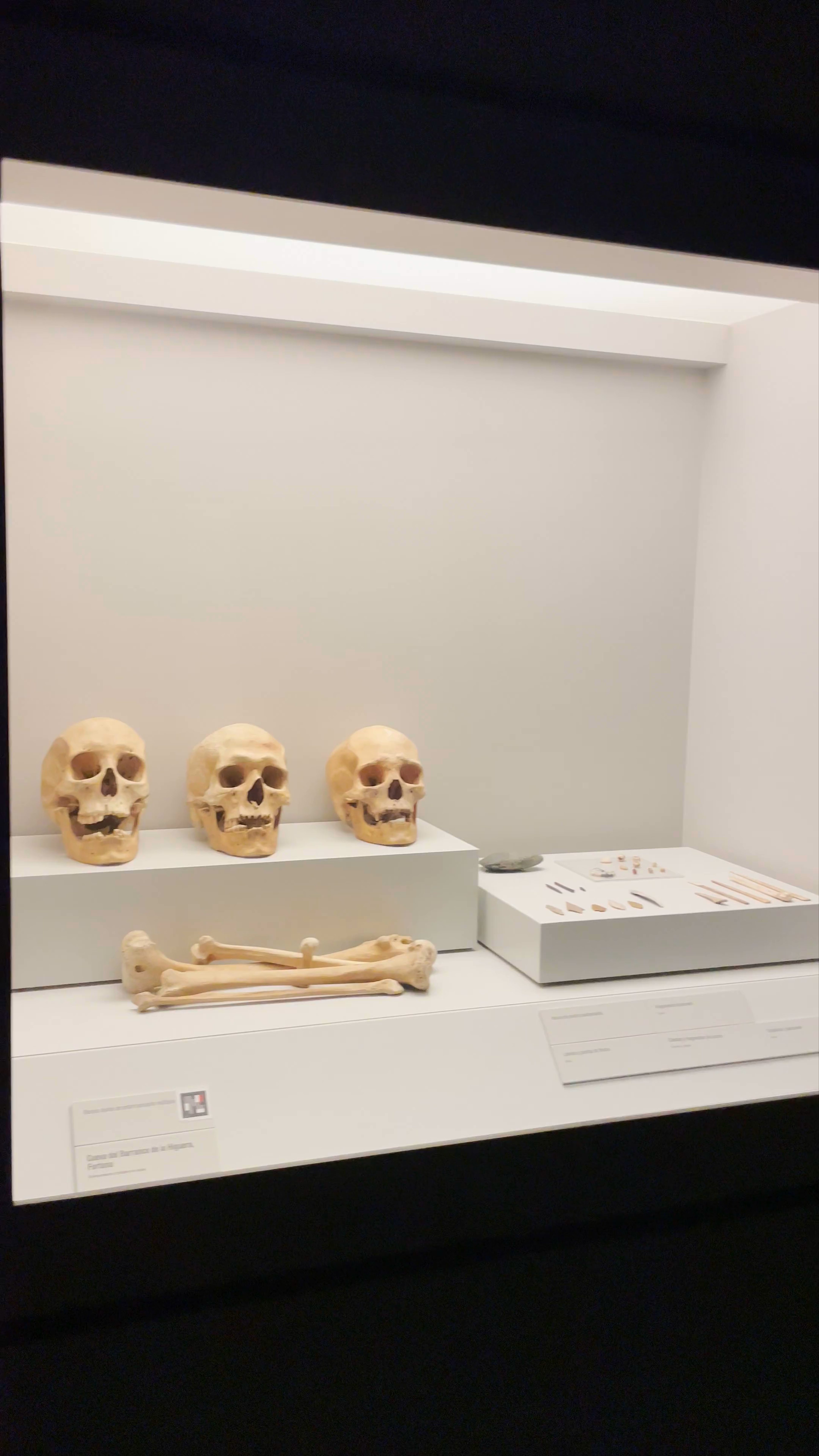 Museo Arqueológico de Murcia (MAM)