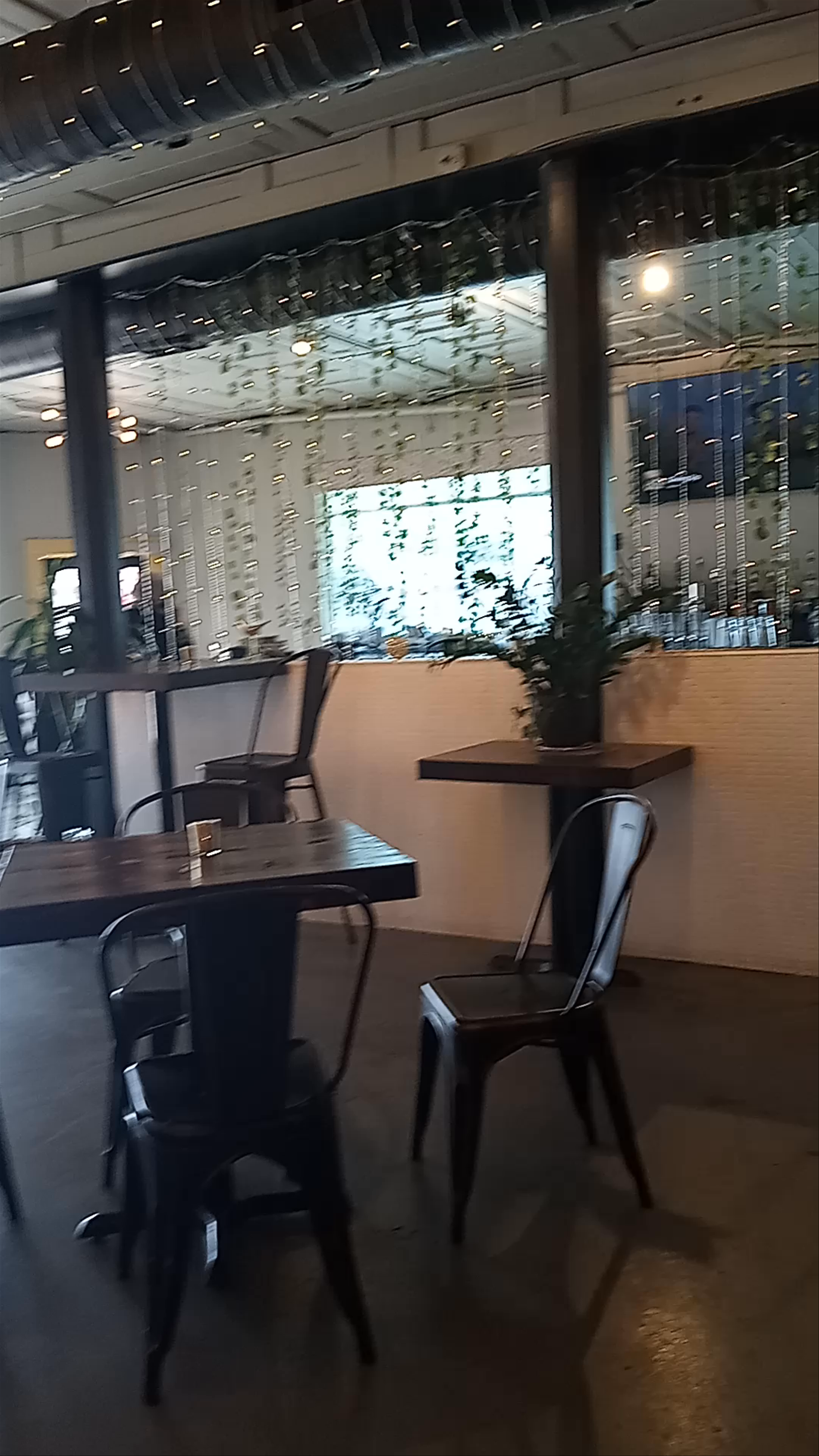 Kindred Cafe: Cozy Urban Retreat on Maple Street, New Orleans